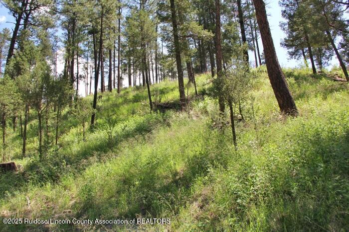 Ruidoso, New Mexico 88345, United States, ,Land,Active,188966