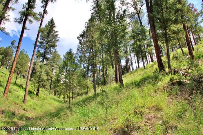 Ruidoso, New Mexico 88345, United States, ,Land,Active,188966