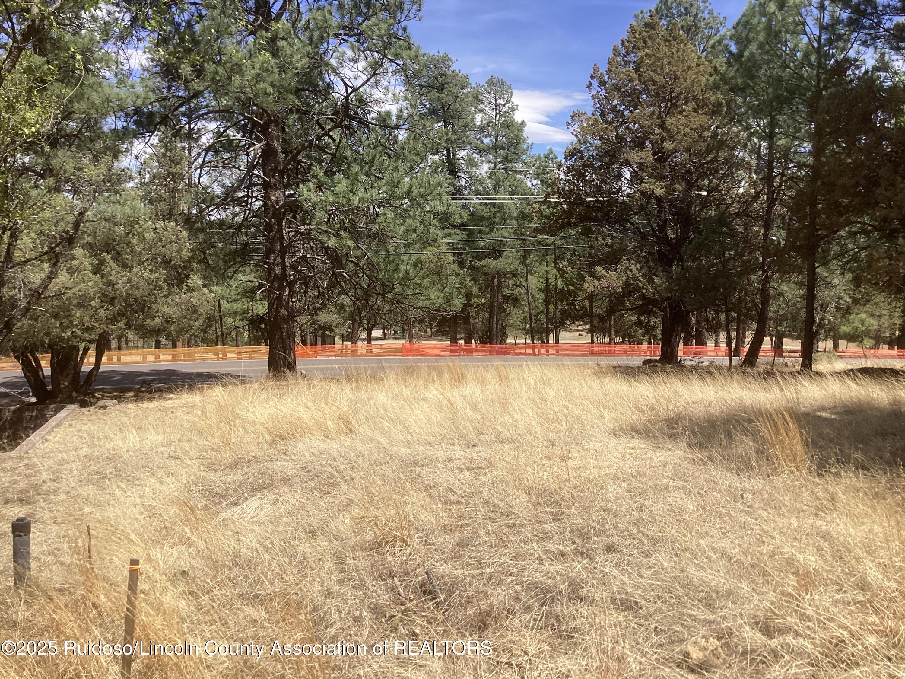 609 Wingfield Road, Ruidoso, New Mexico image 2