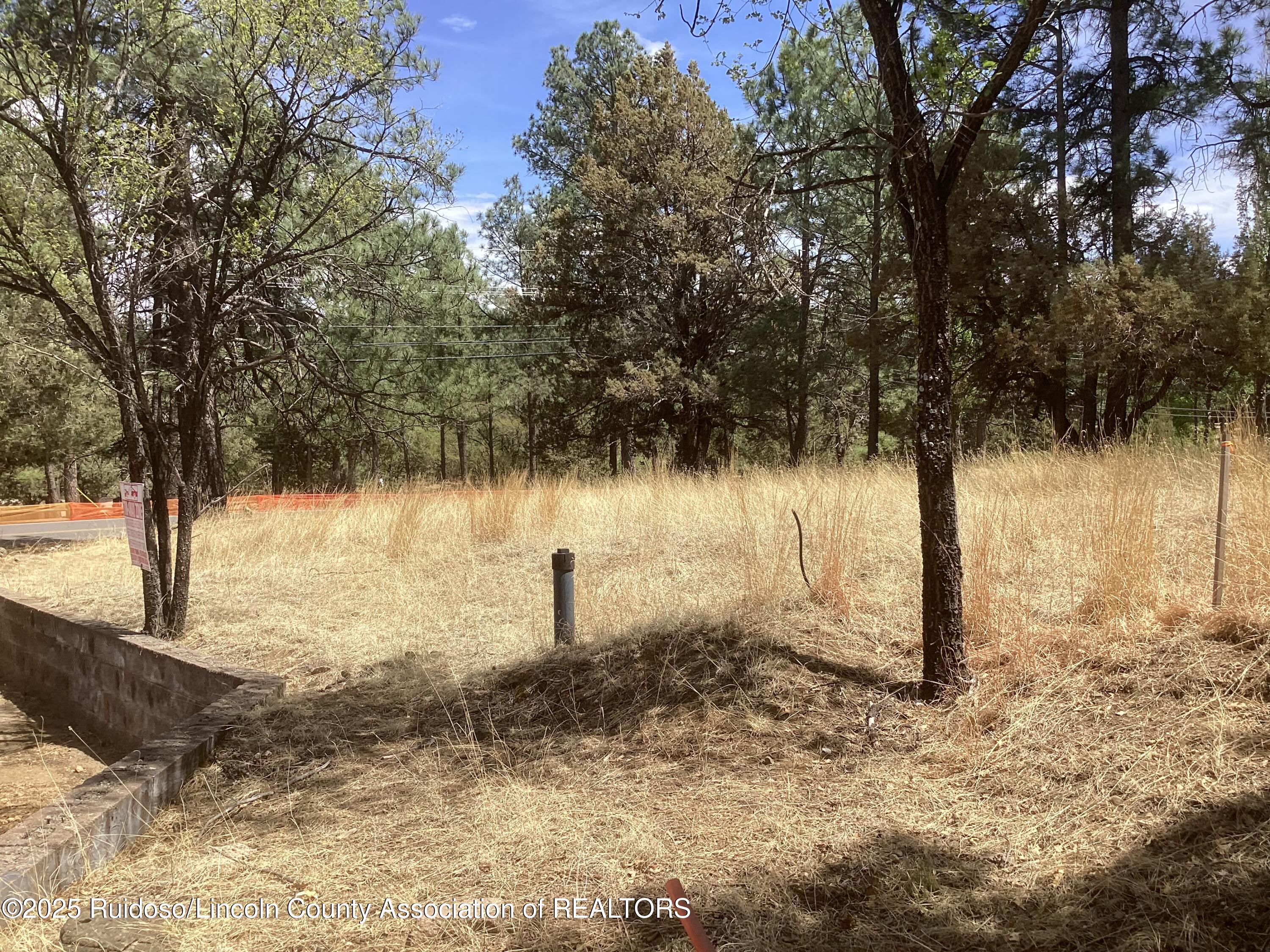 609 Wingfield Road, Ruidoso, New Mexico image 4