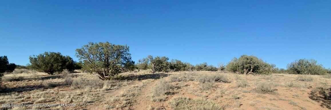 269 Windmill Road, Ancho, New Mexico image 3