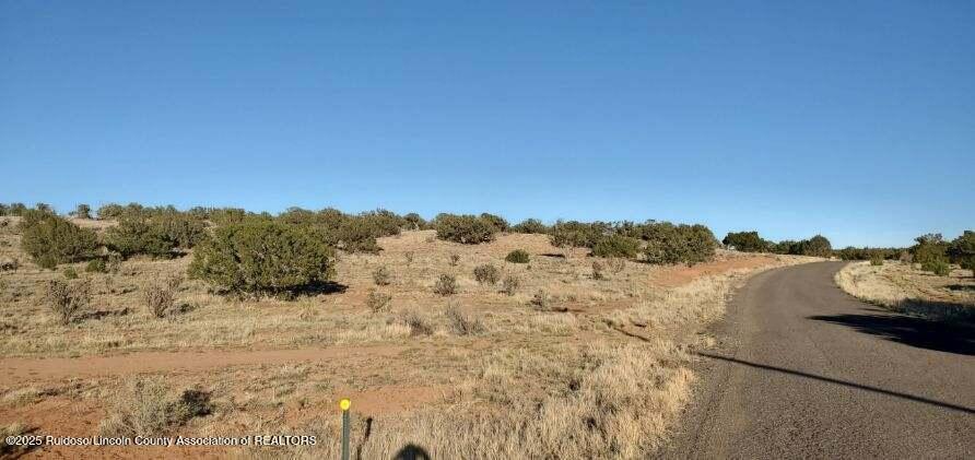 269 Windmill Road, Ancho, New Mexico image 4