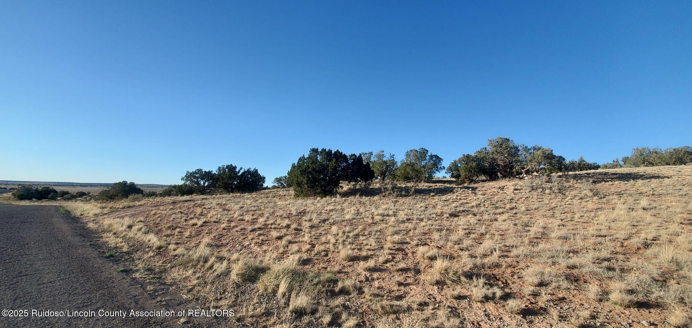 269 Windmill Road, Ancho, New Mexico image 2