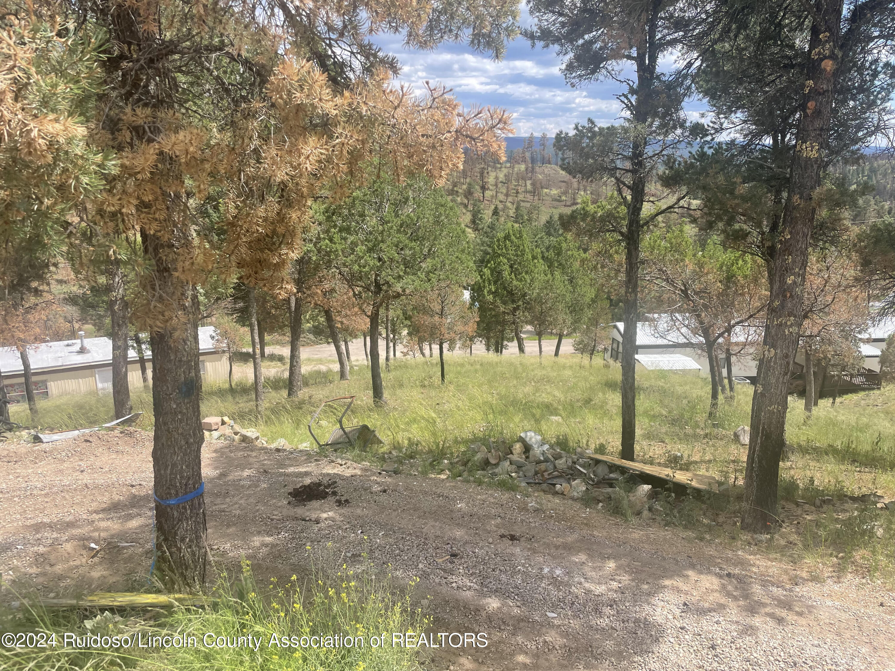 104 Mont Blanc Drive, Ruidoso, New Mexico image 1