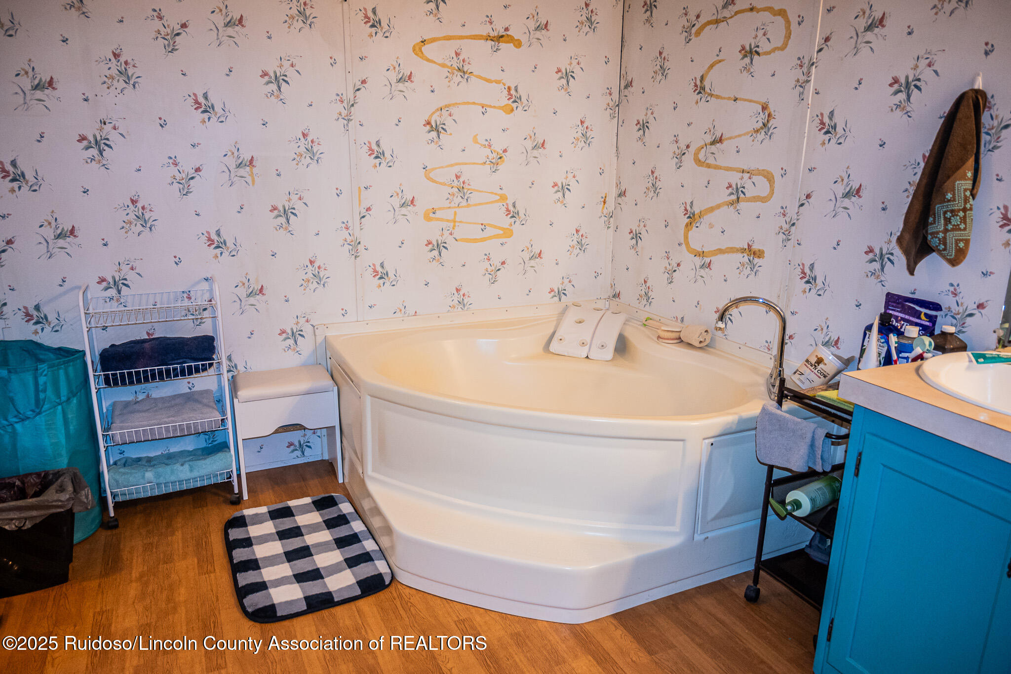 109 W Grand View Road, Capitan, New Mexico image 27