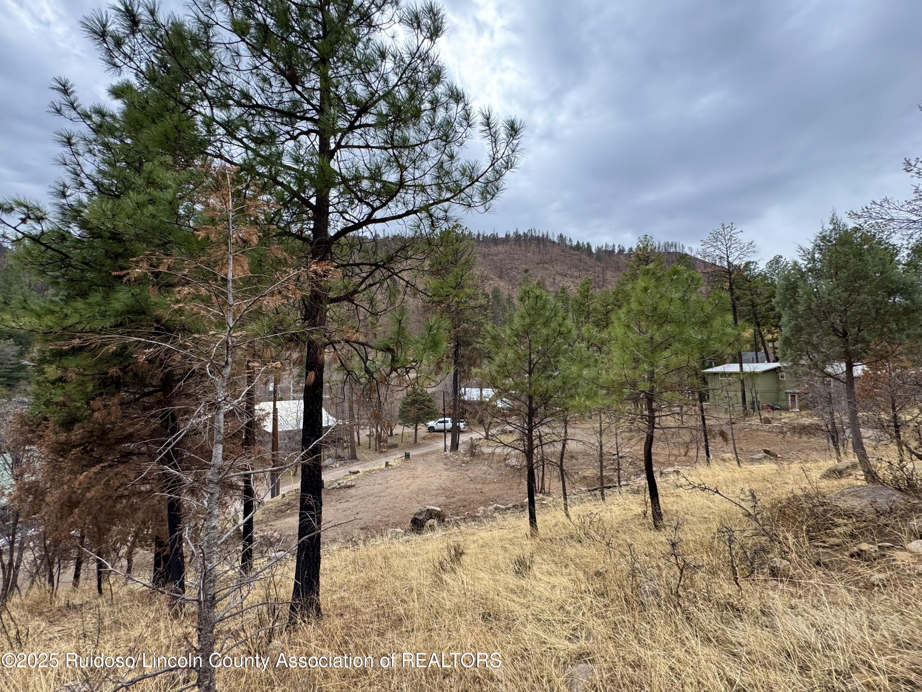 105 Bradford Drive, Ruidoso, New Mexico image 10