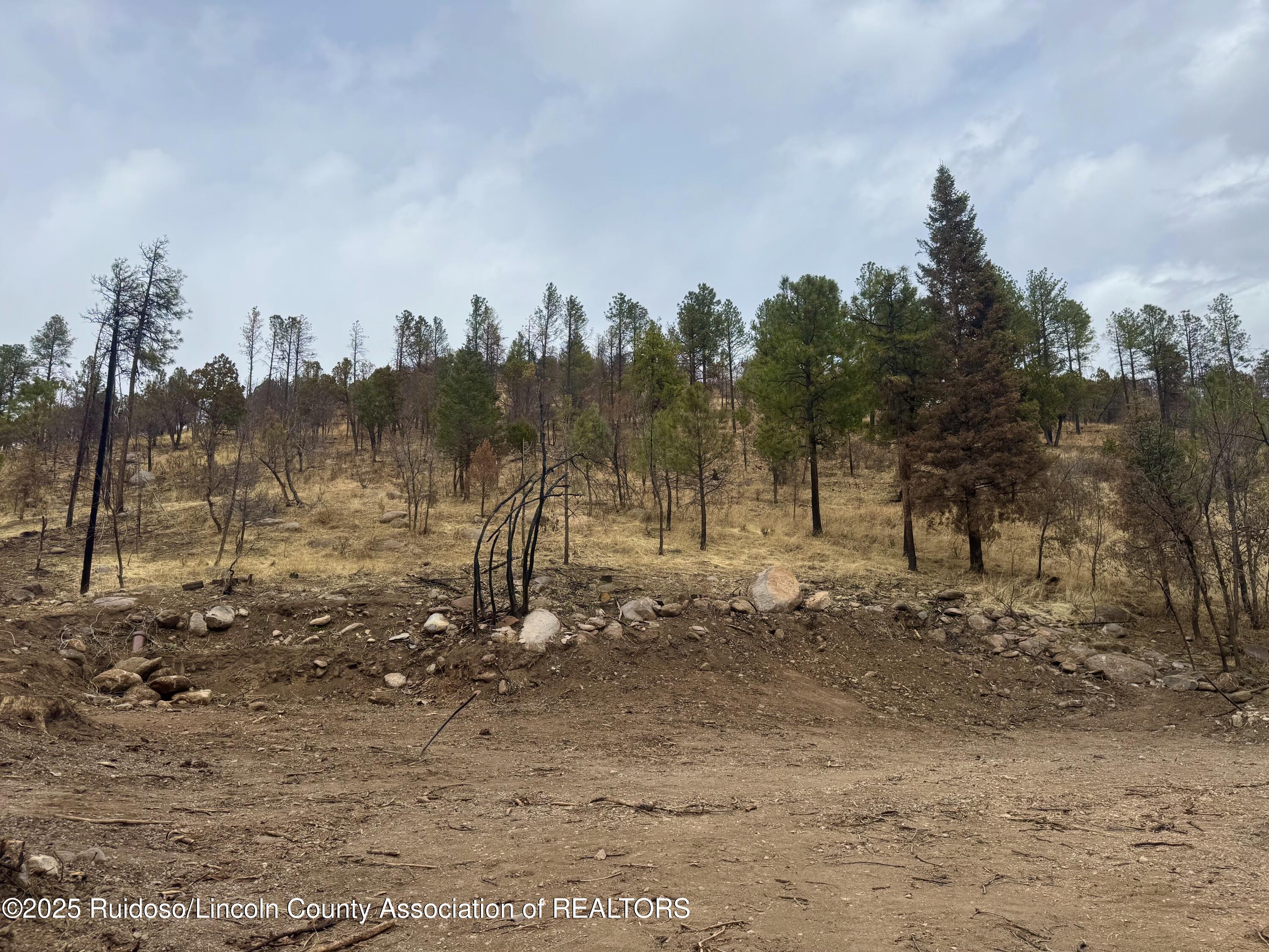 105 Bradford Drive, Ruidoso, New Mexico image 2