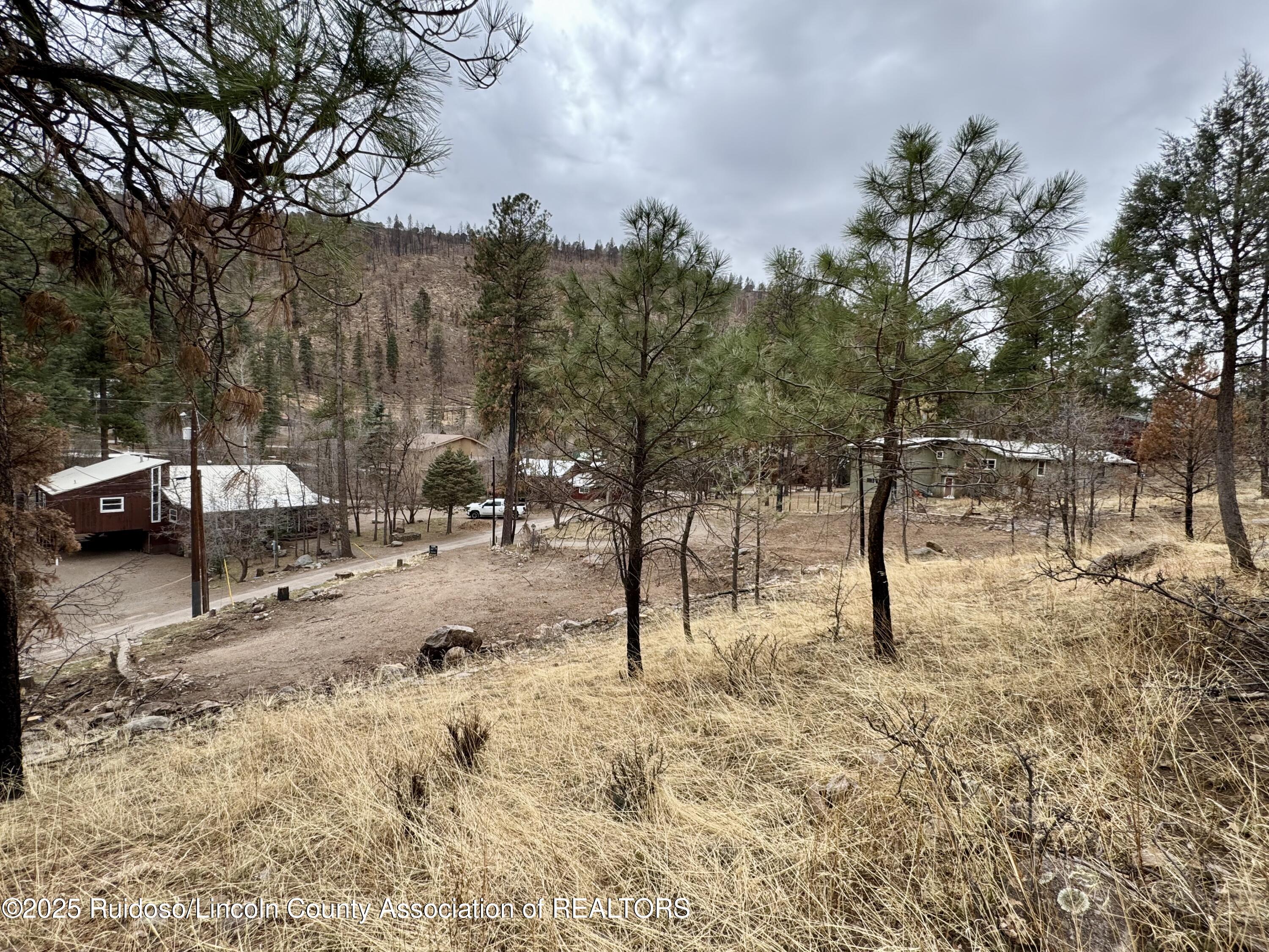 105 Bradford Drive, Ruidoso, New Mexico image 9