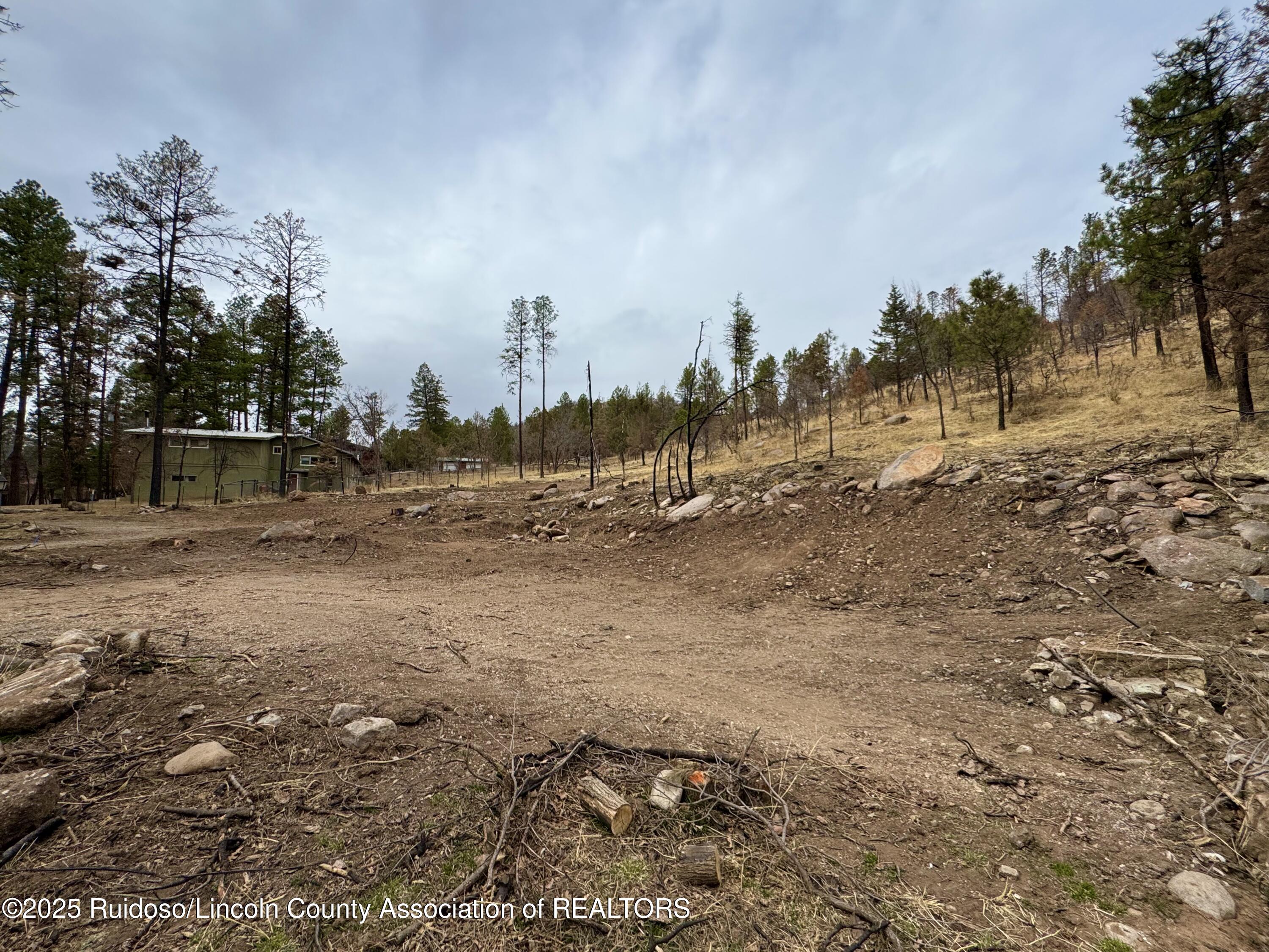 105 Bradford Drive, Ruidoso, New Mexico image 5
