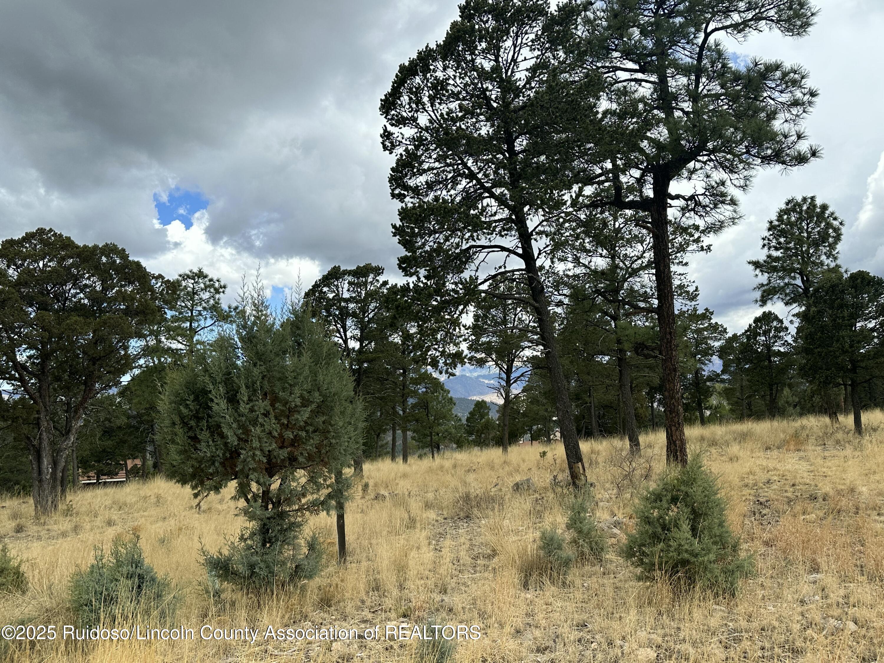112 Avalon Court, Ruidoso, New Mexico image 12