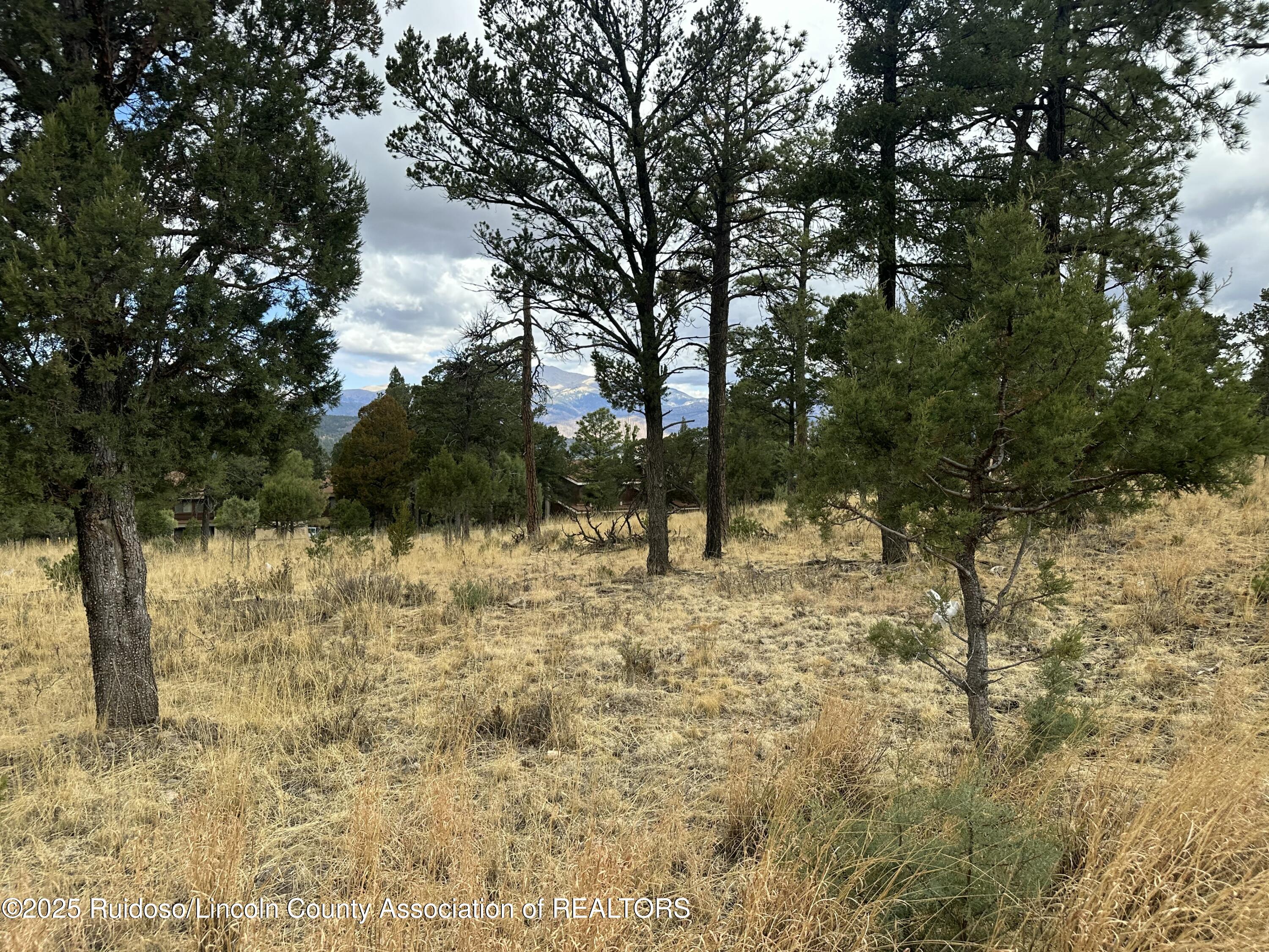112 Avalon Court, Ruidoso, New Mexico image 9