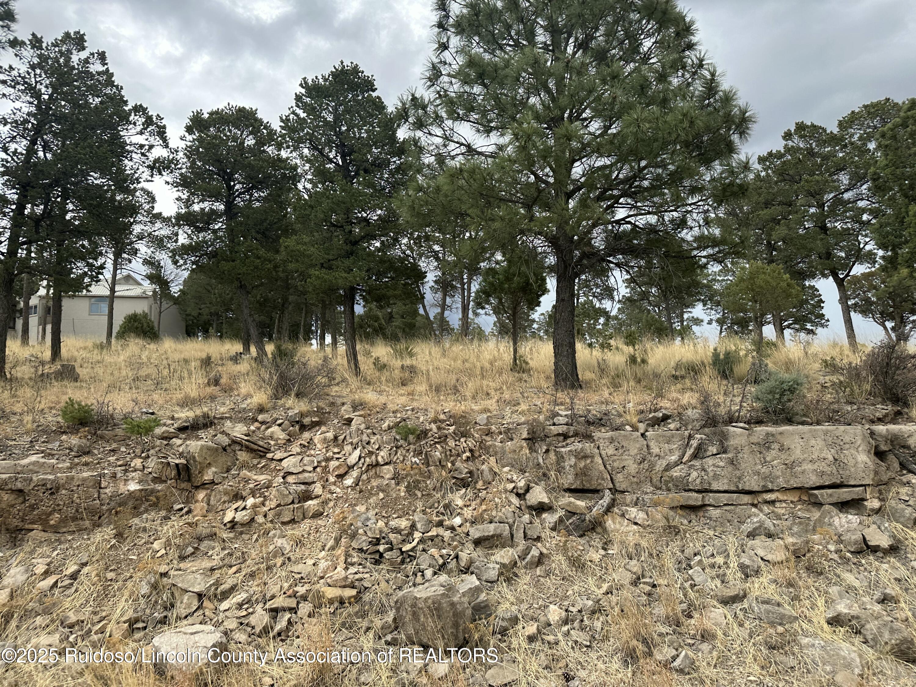 112 Avalon Court, Ruidoso, New Mexico image 2