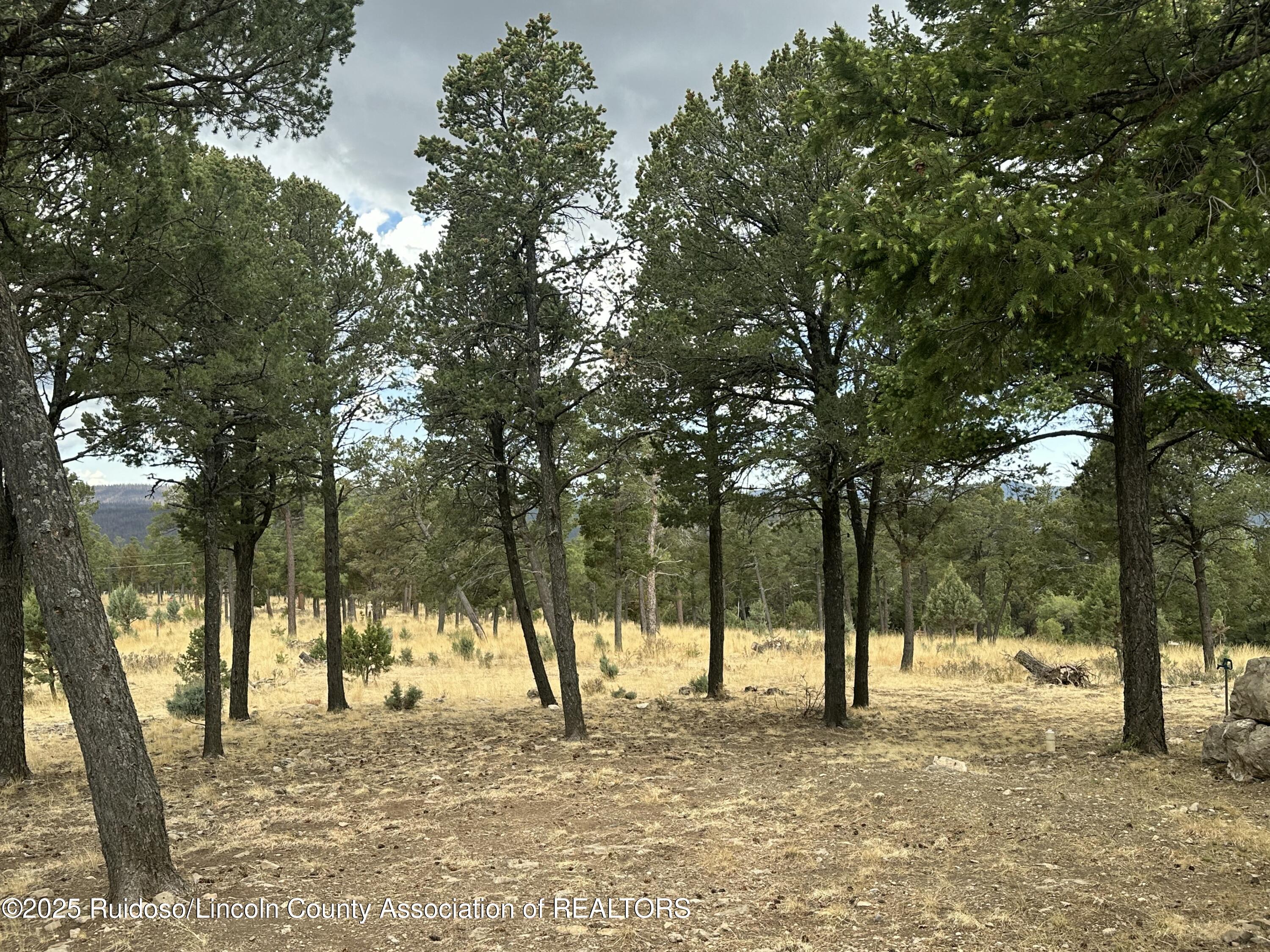 112 Avalon Court, Ruidoso, New Mexico image 17