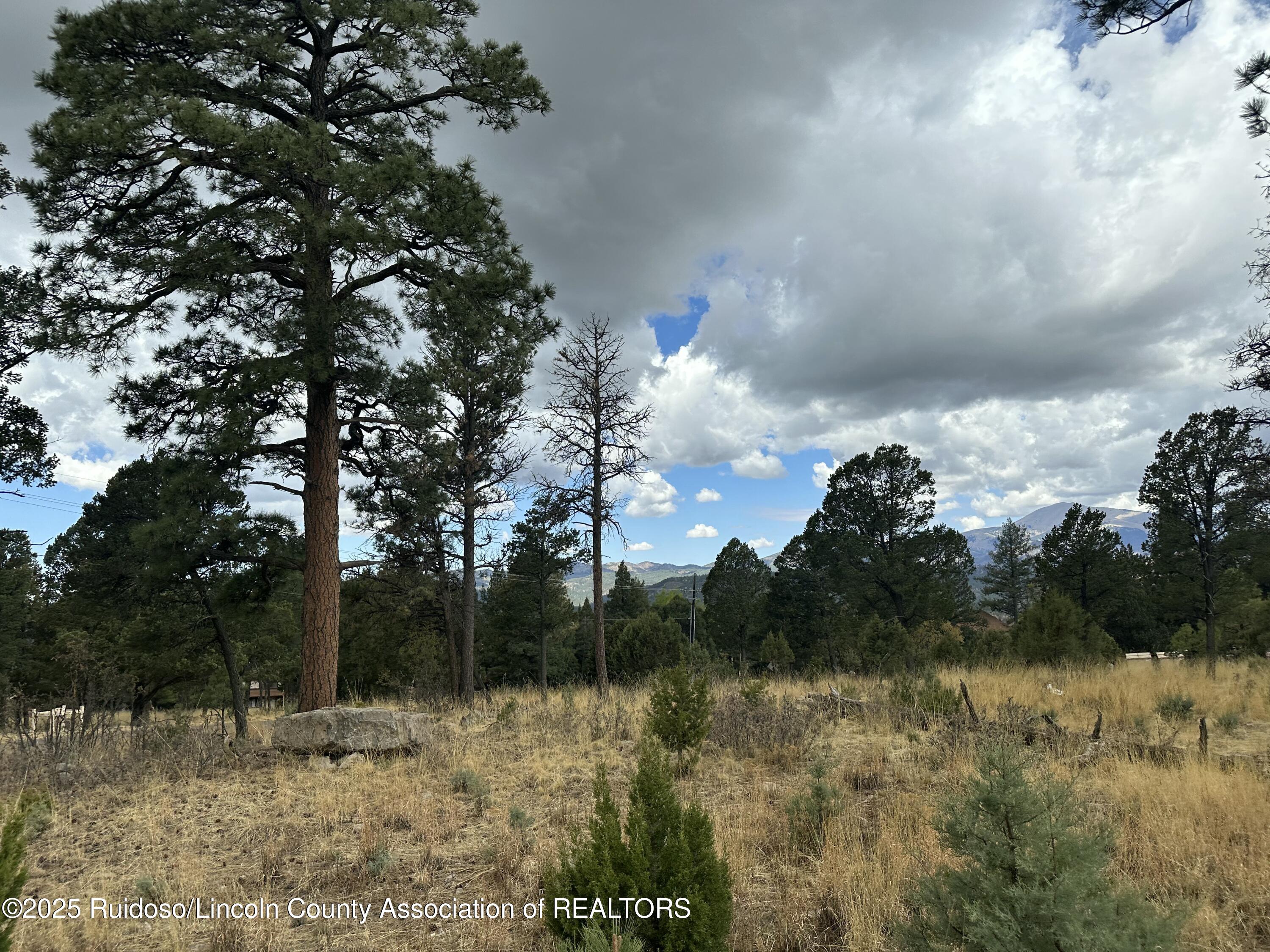 112 Avalon Court, Ruidoso, New Mexico image 6