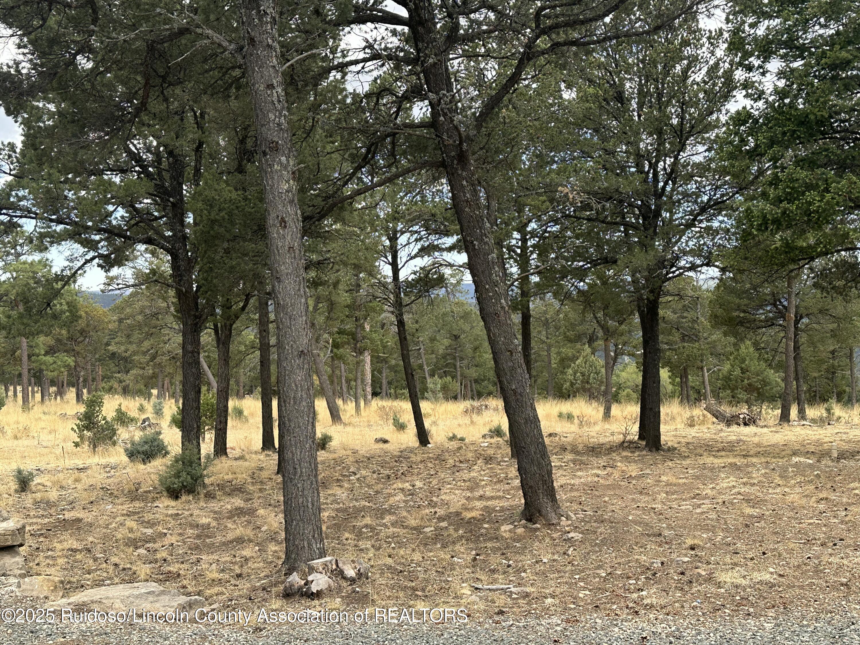 112 Avalon Court, Ruidoso, New Mexico image 16