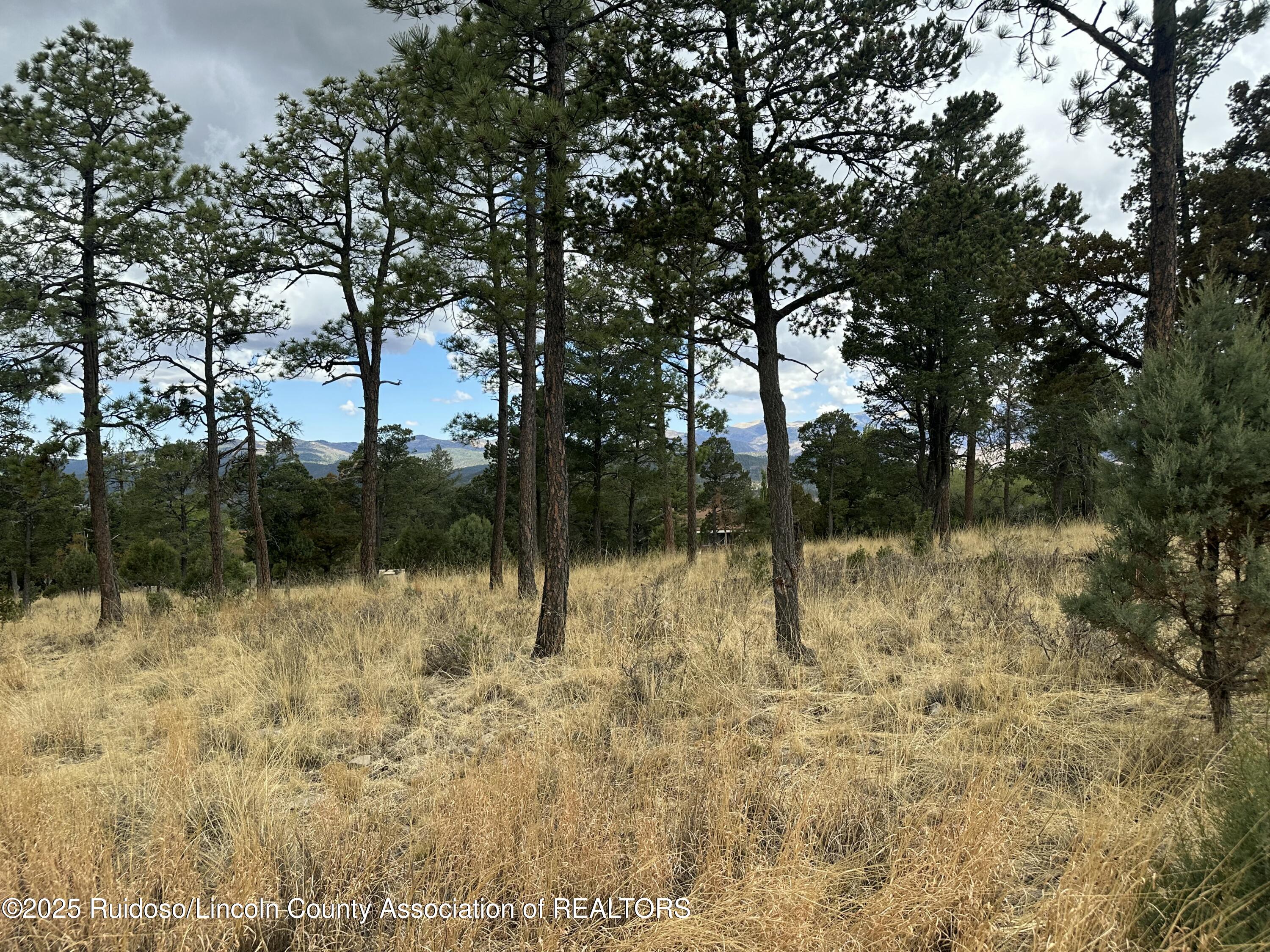 112 Avalon Court, Ruidoso, New Mexico image 11