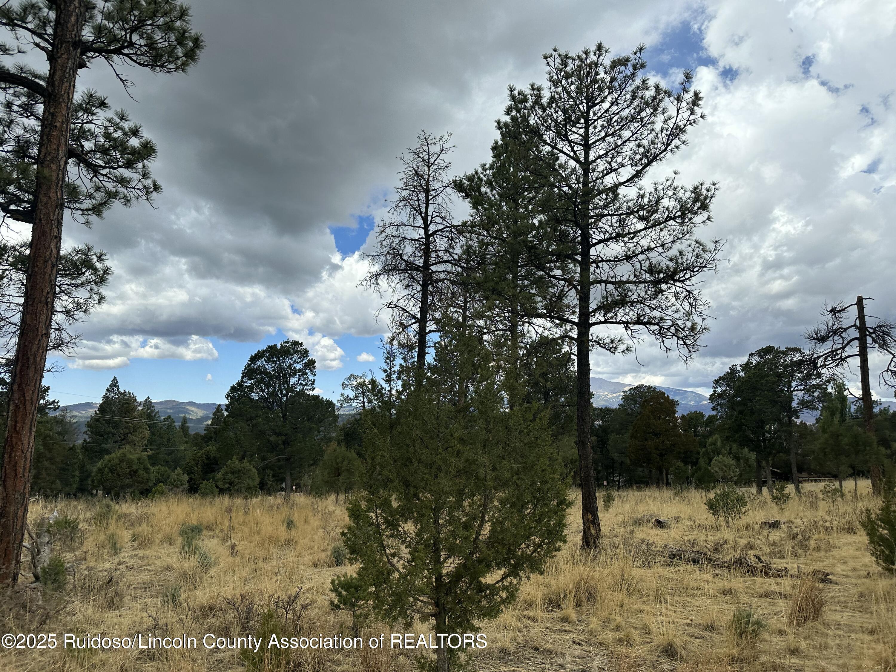 112 Avalon Court, Ruidoso, New Mexico image 8