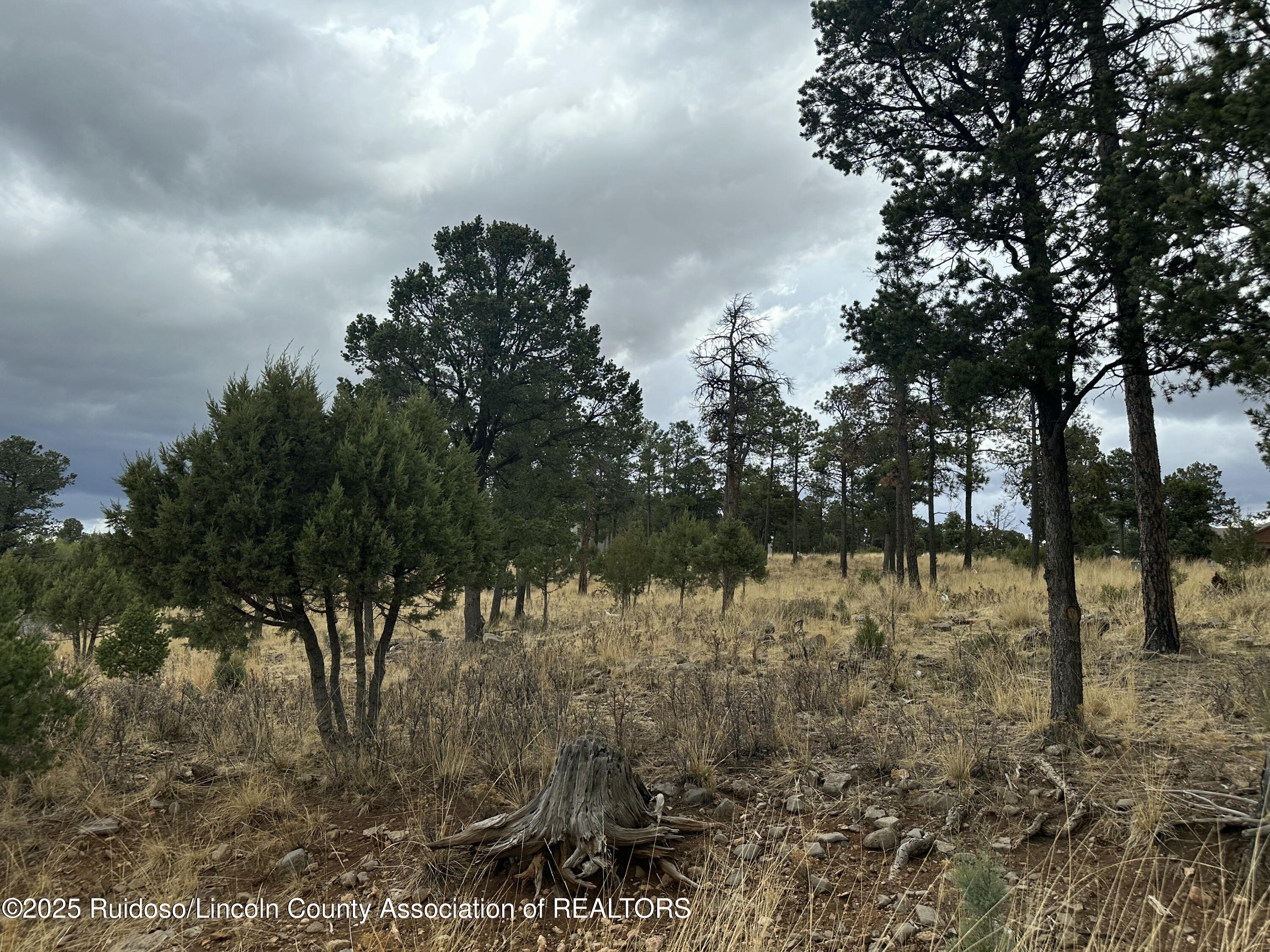112 Avalon Court, Ruidoso, New Mexico image 5