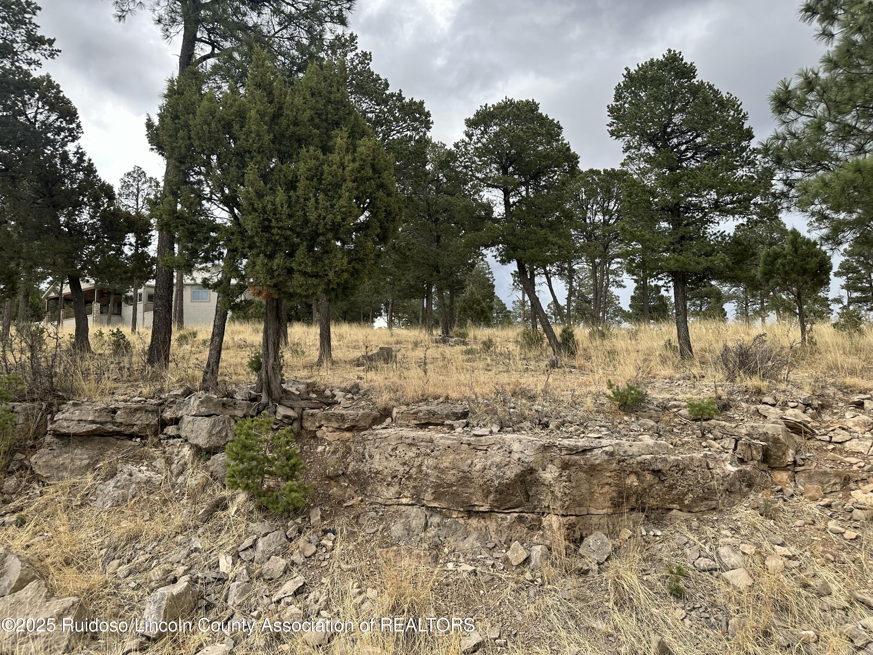 112 Avalon Court, Ruidoso, New Mexico image 10