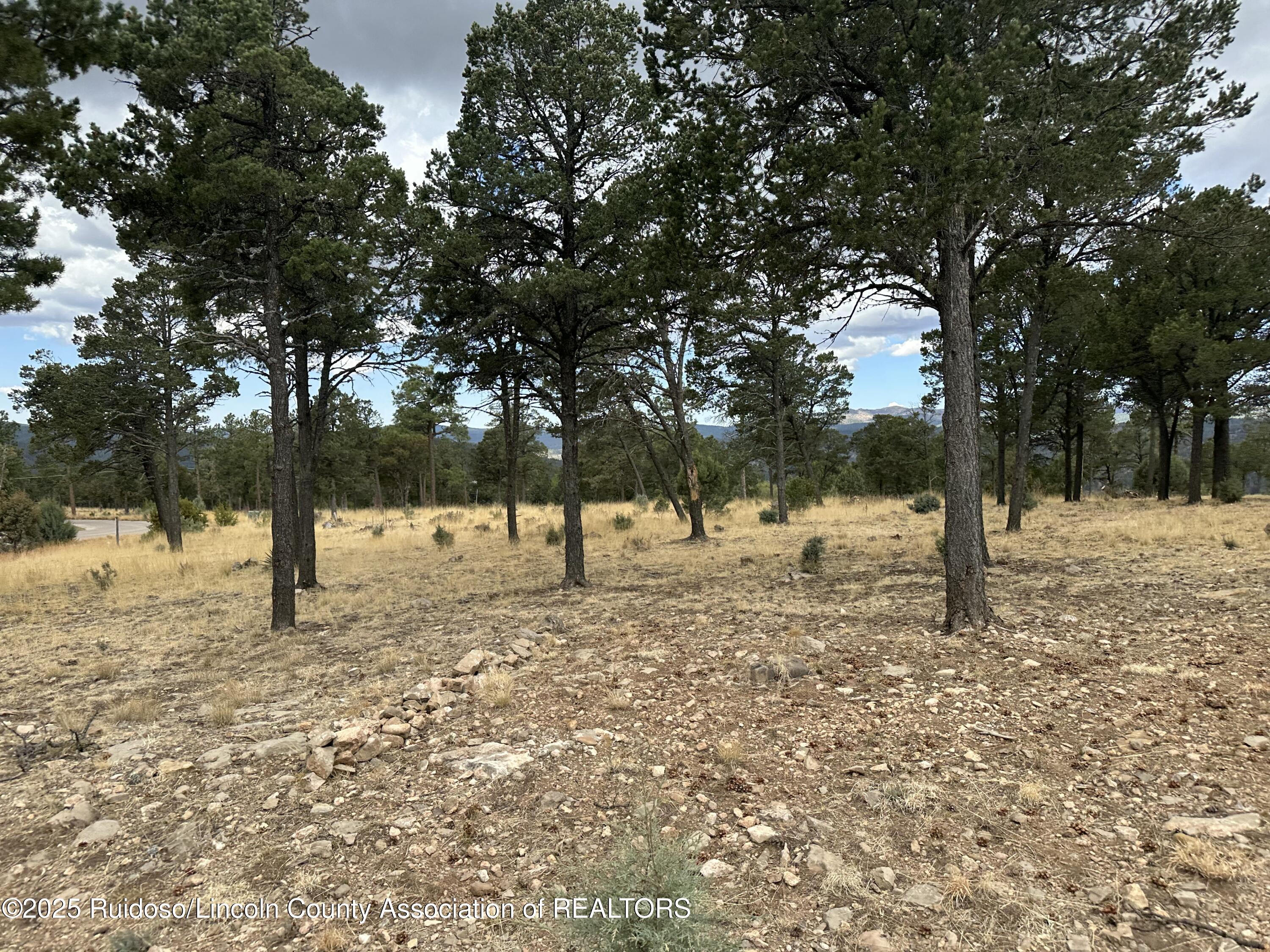 112 Avalon Court, Ruidoso, New Mexico image 14