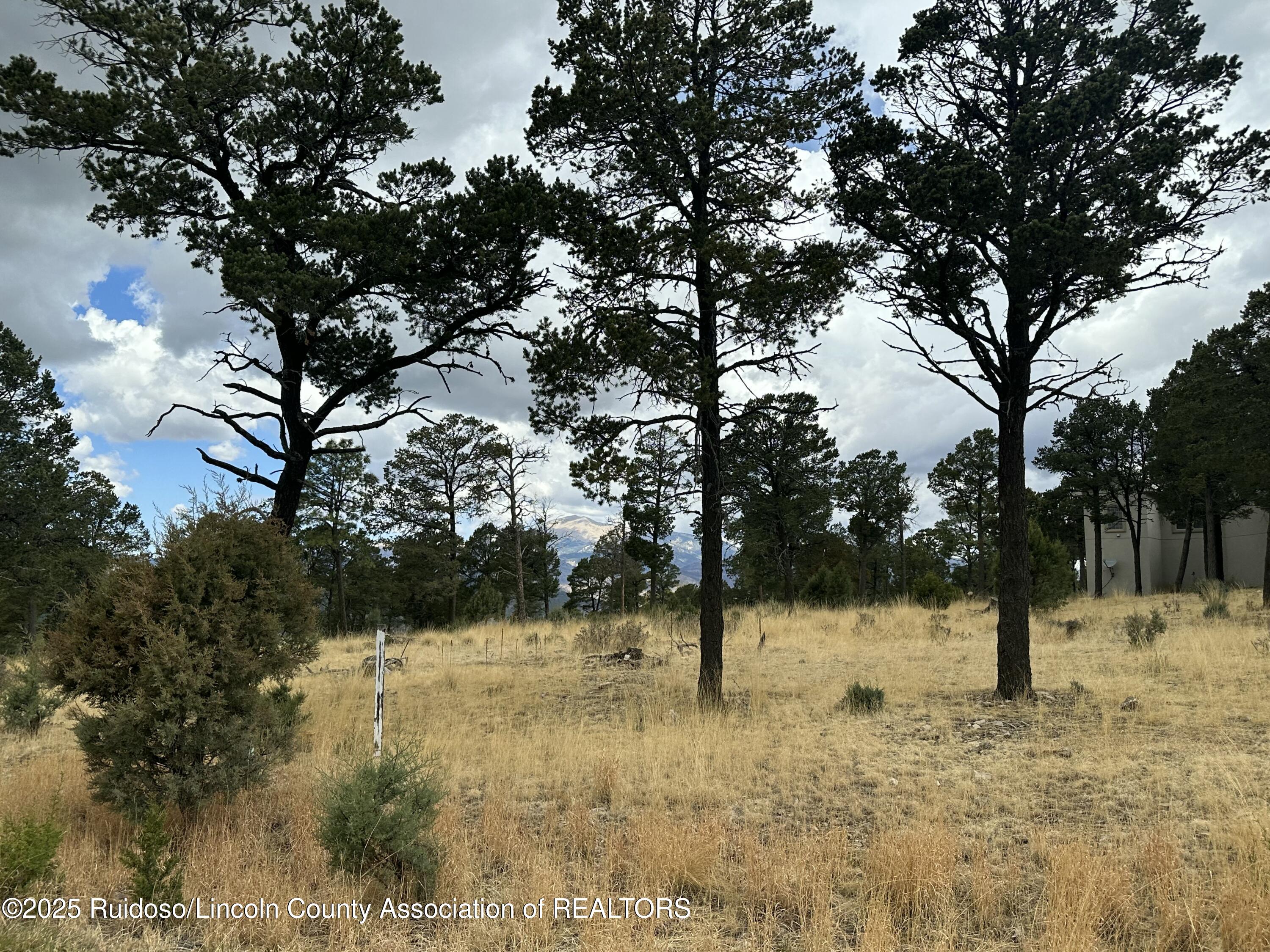 112 Avalon Court, Ruidoso, New Mexico image 13