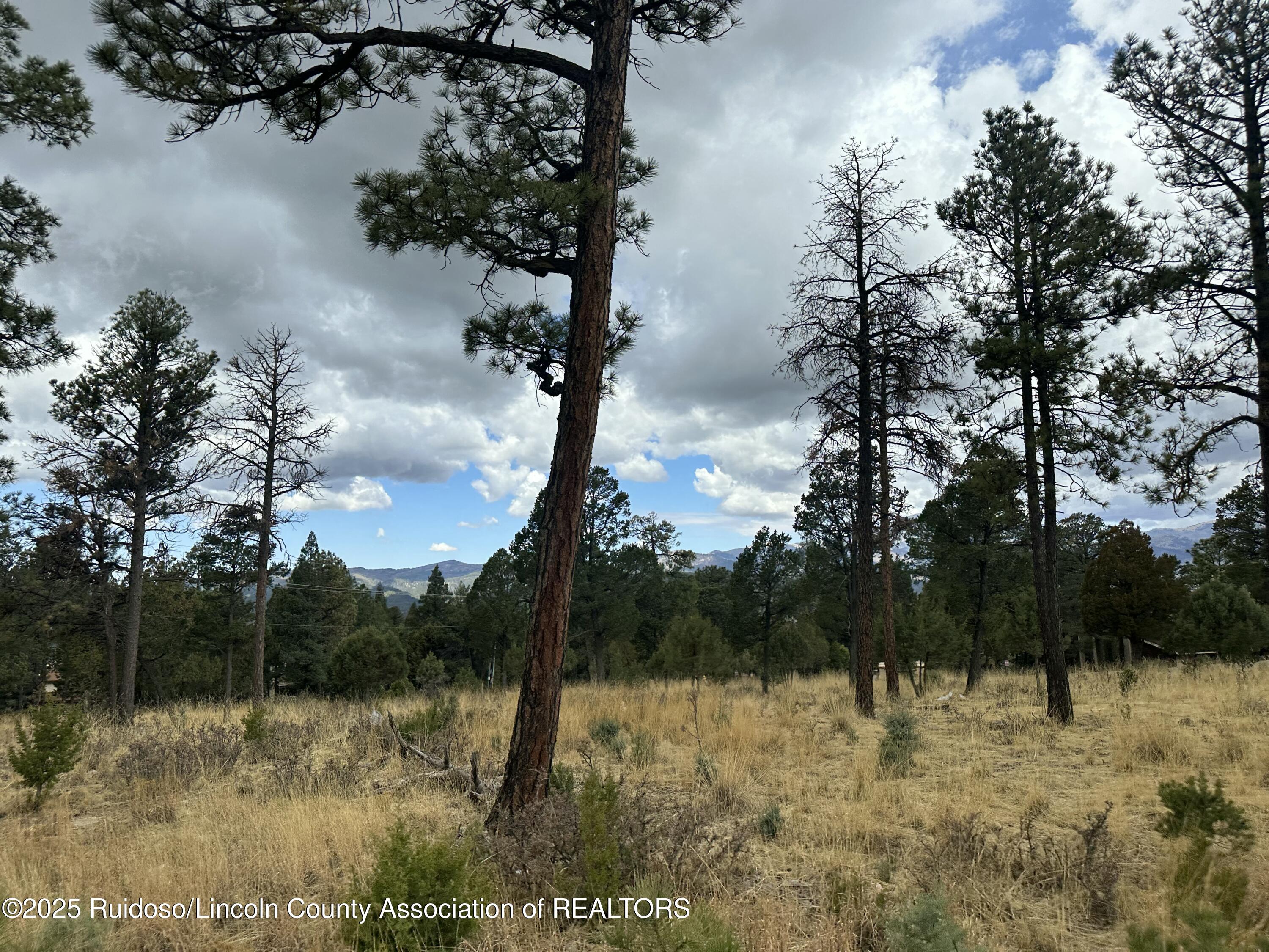 112 Avalon Court, Ruidoso, New Mexico image 7
