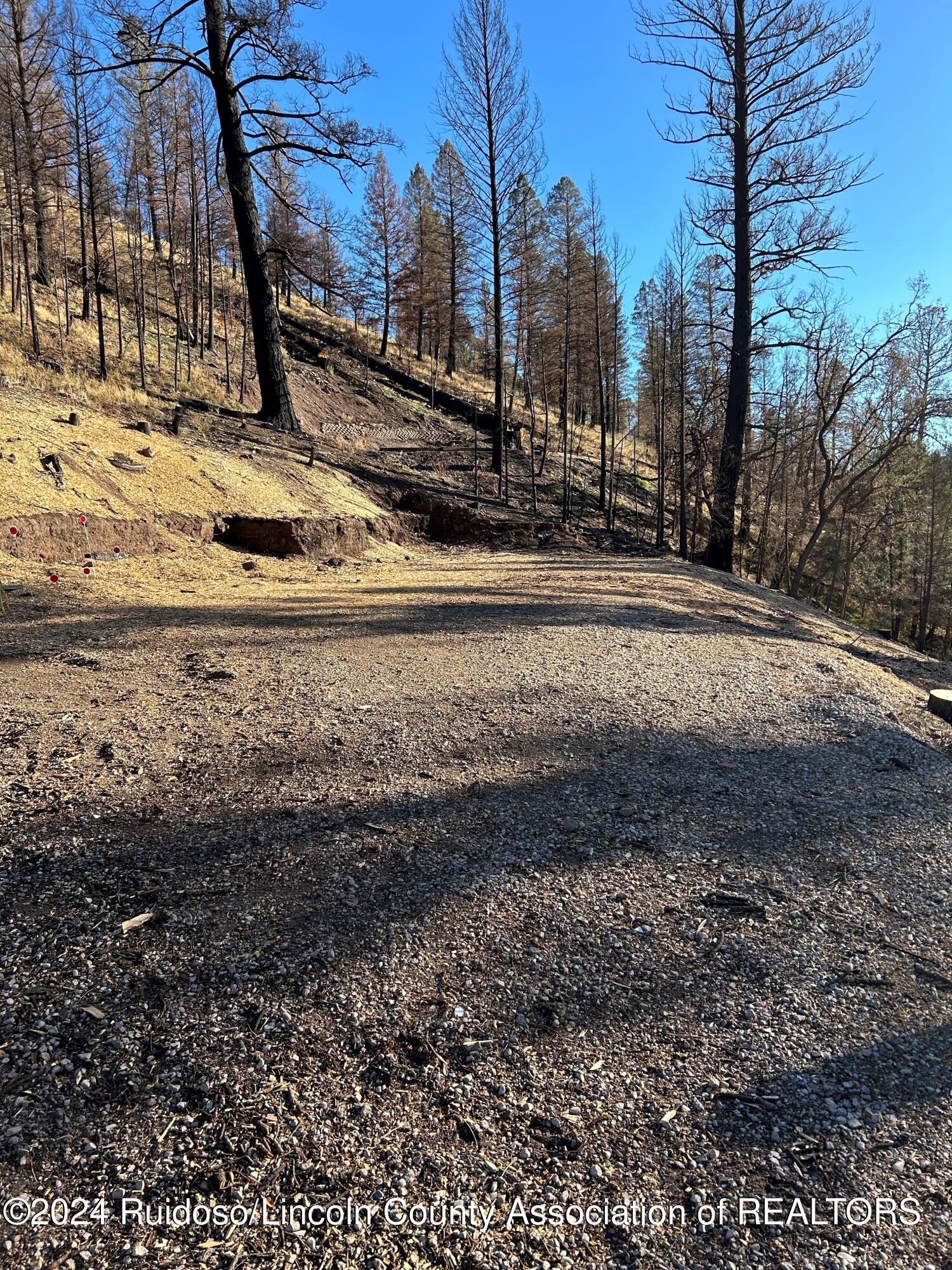 126 Musketball Drive, Ruidoso, New Mexico image 3