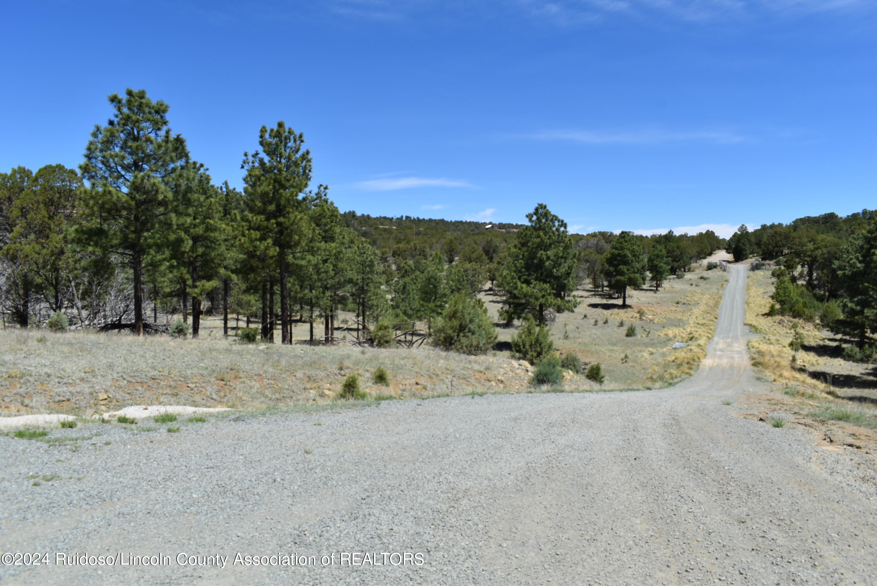 Lots 1 & 3 Silver Fox Lane, Alto, New Mexico image 1