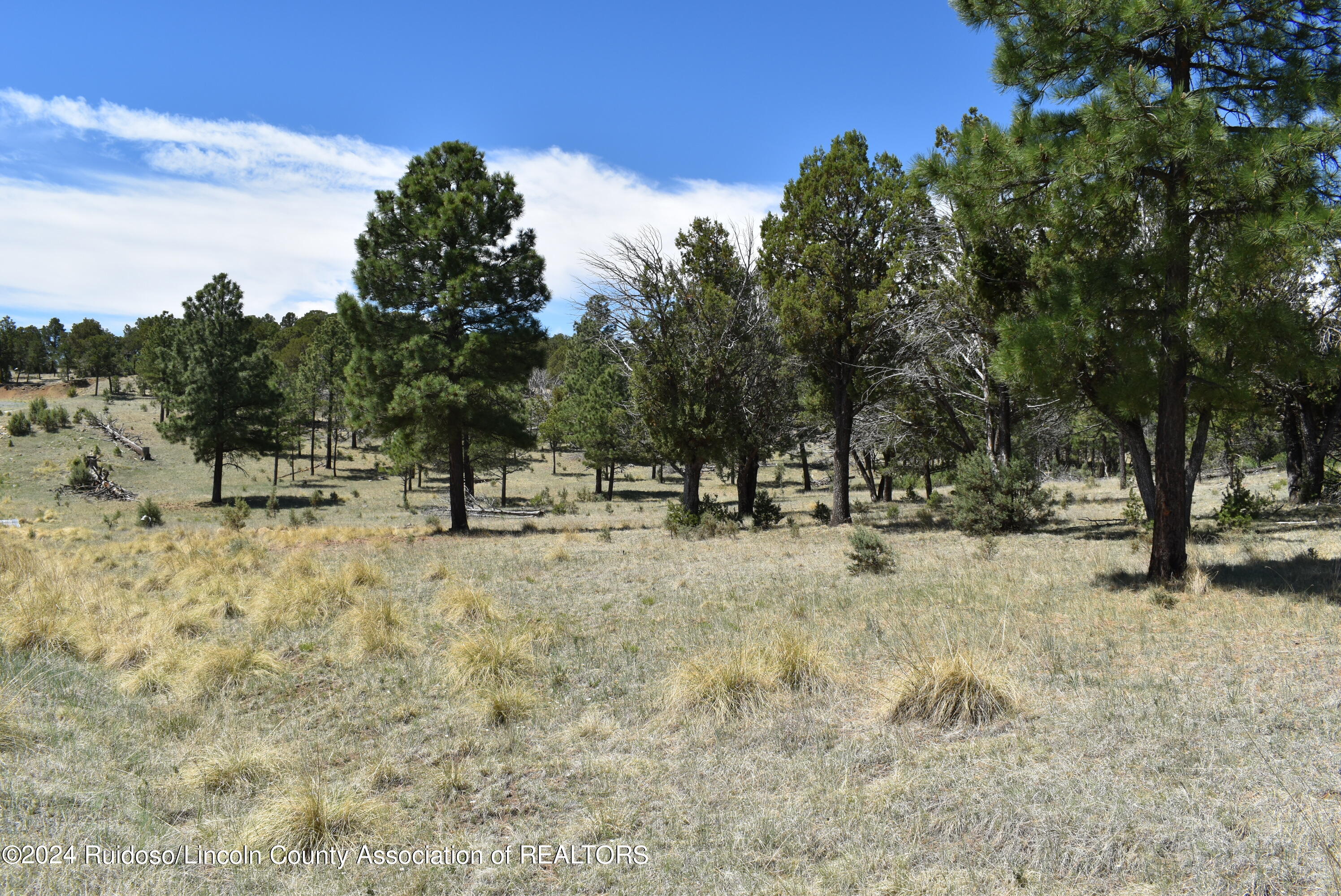 Lots 1 & 3 Silver Fox Lane, Alto, New Mexico image 4