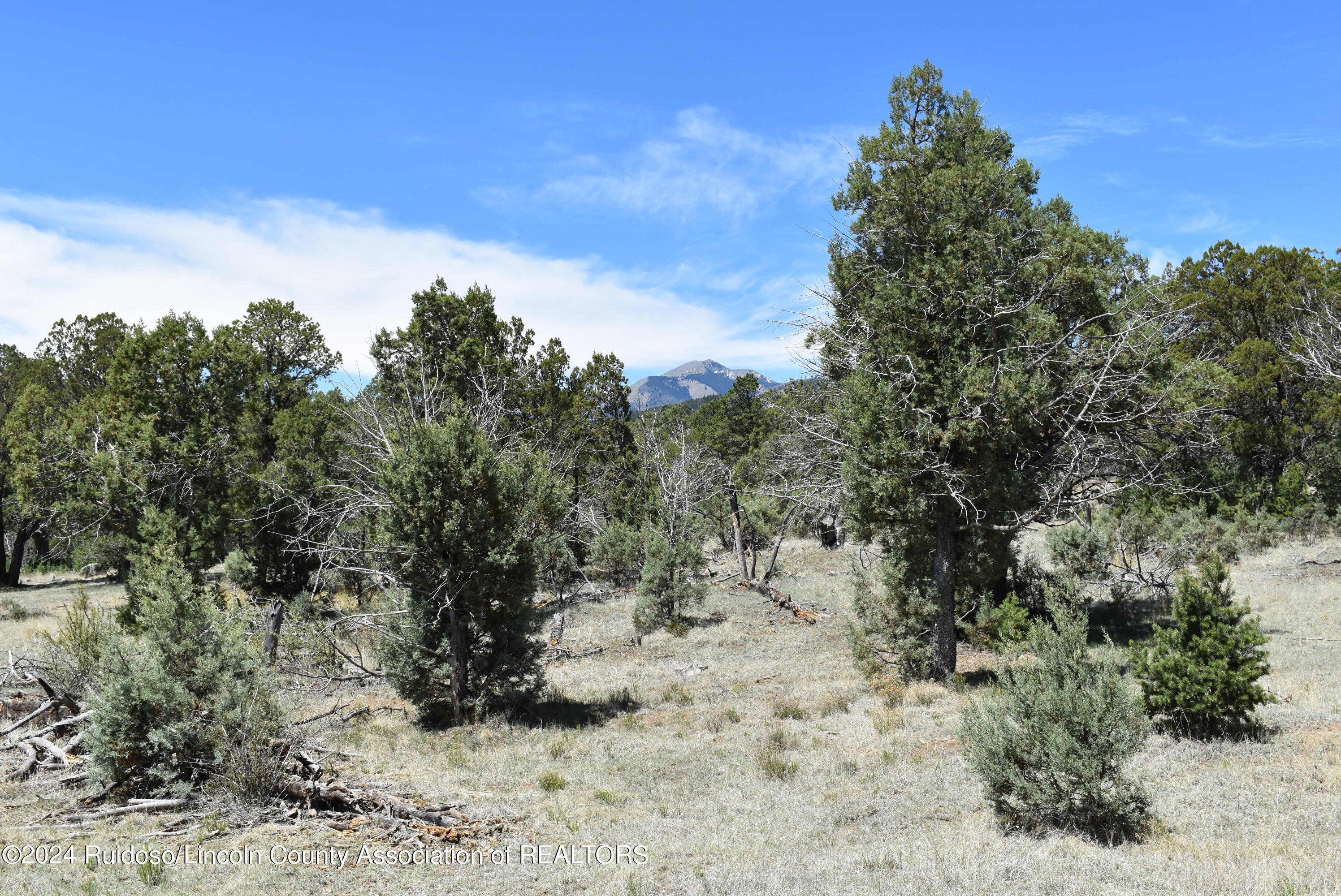 Lots 1 & 3 Silver Fox Lane, Alto, New Mexico image 7