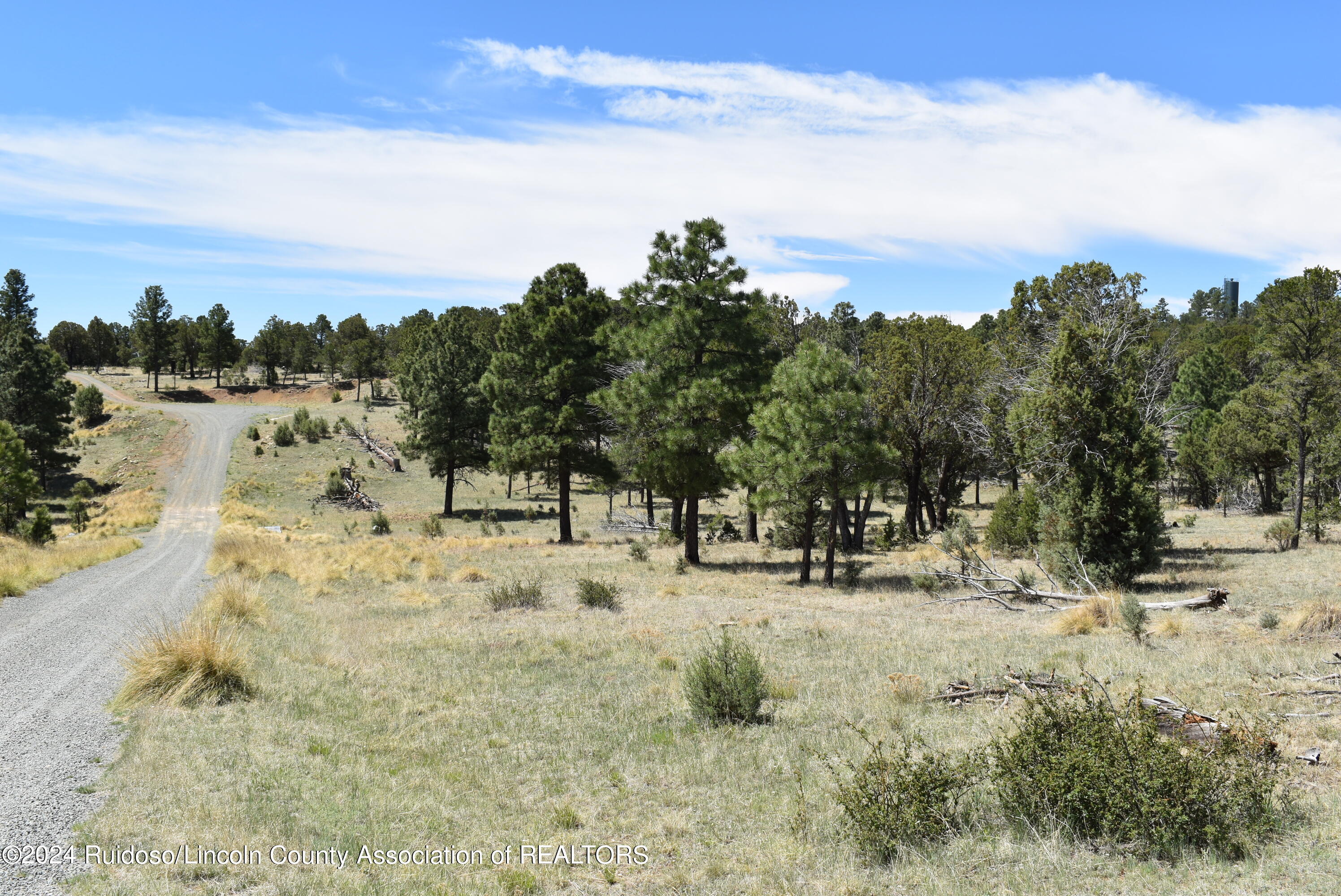 Lots 1 & 3 Silver Fox Lane, Alto, New Mexico image 2