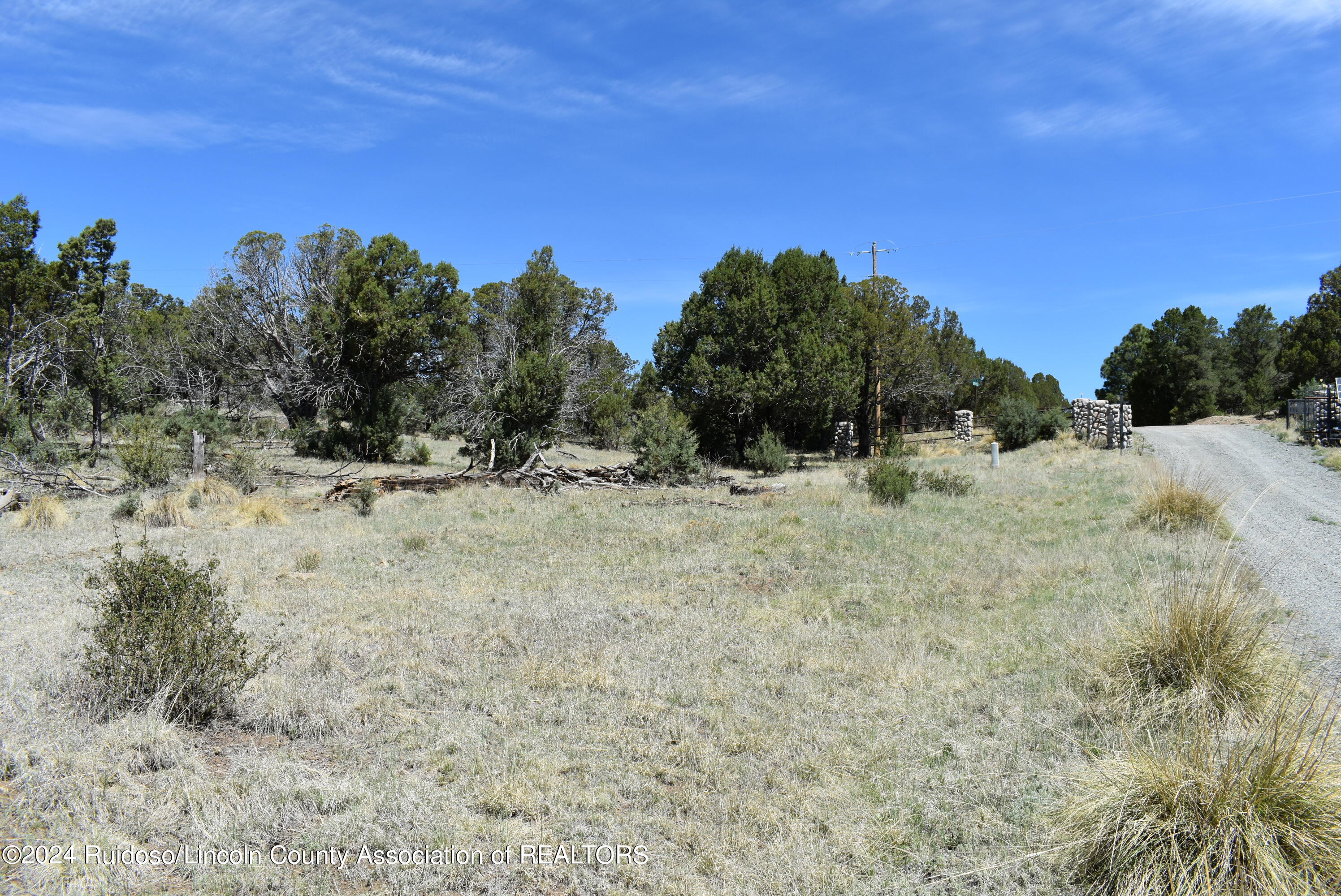 Lots 1 & 3 Silver Fox Lane, Alto, New Mexico image 9