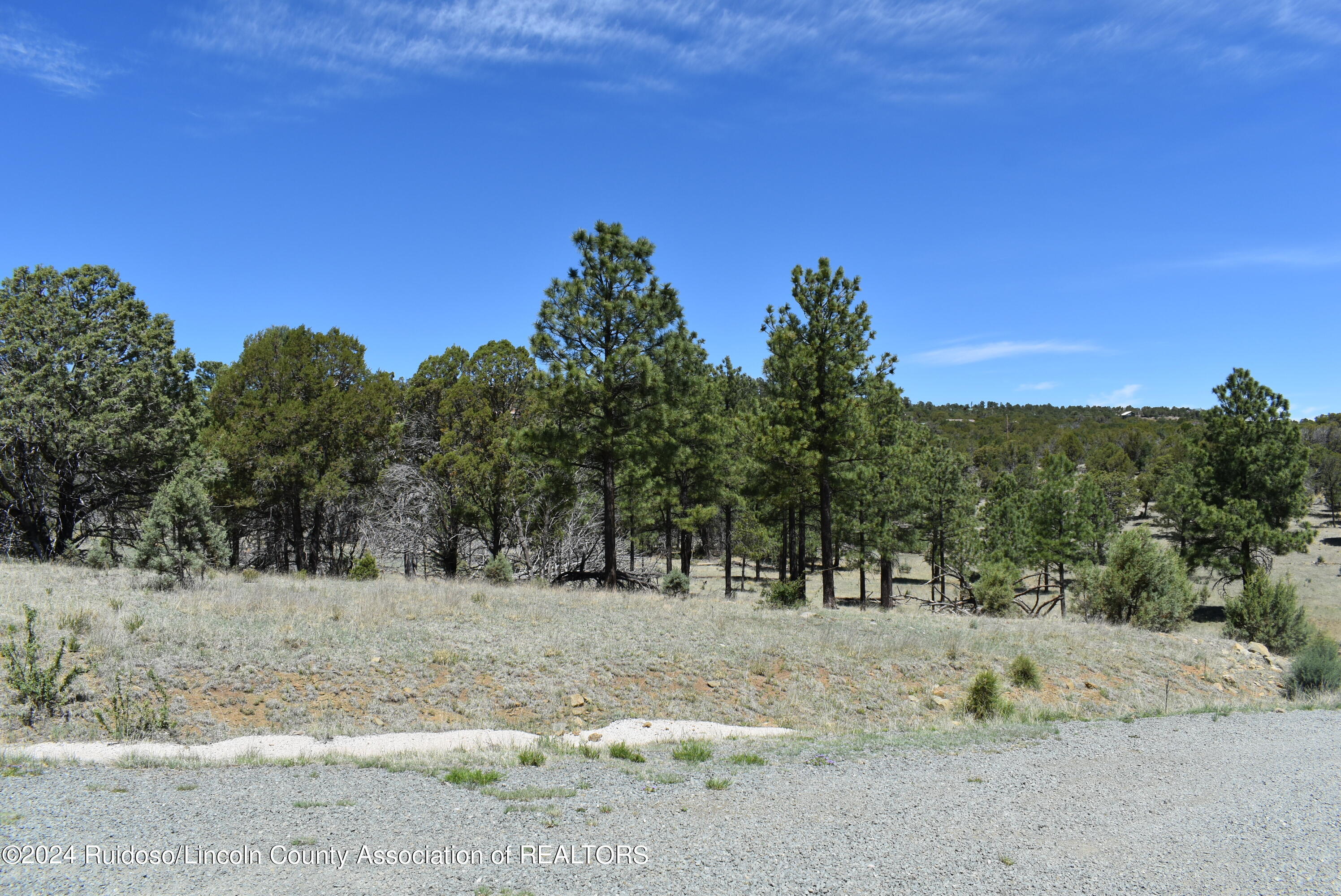 Lots 1 & 3 Silver Fox Lane, Alto, New Mexico image 6