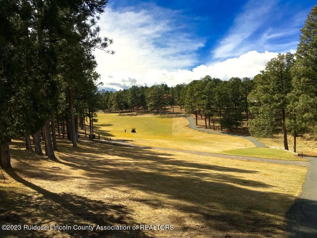 129 Pinehurst Drive, Alto, New Mexico image 1