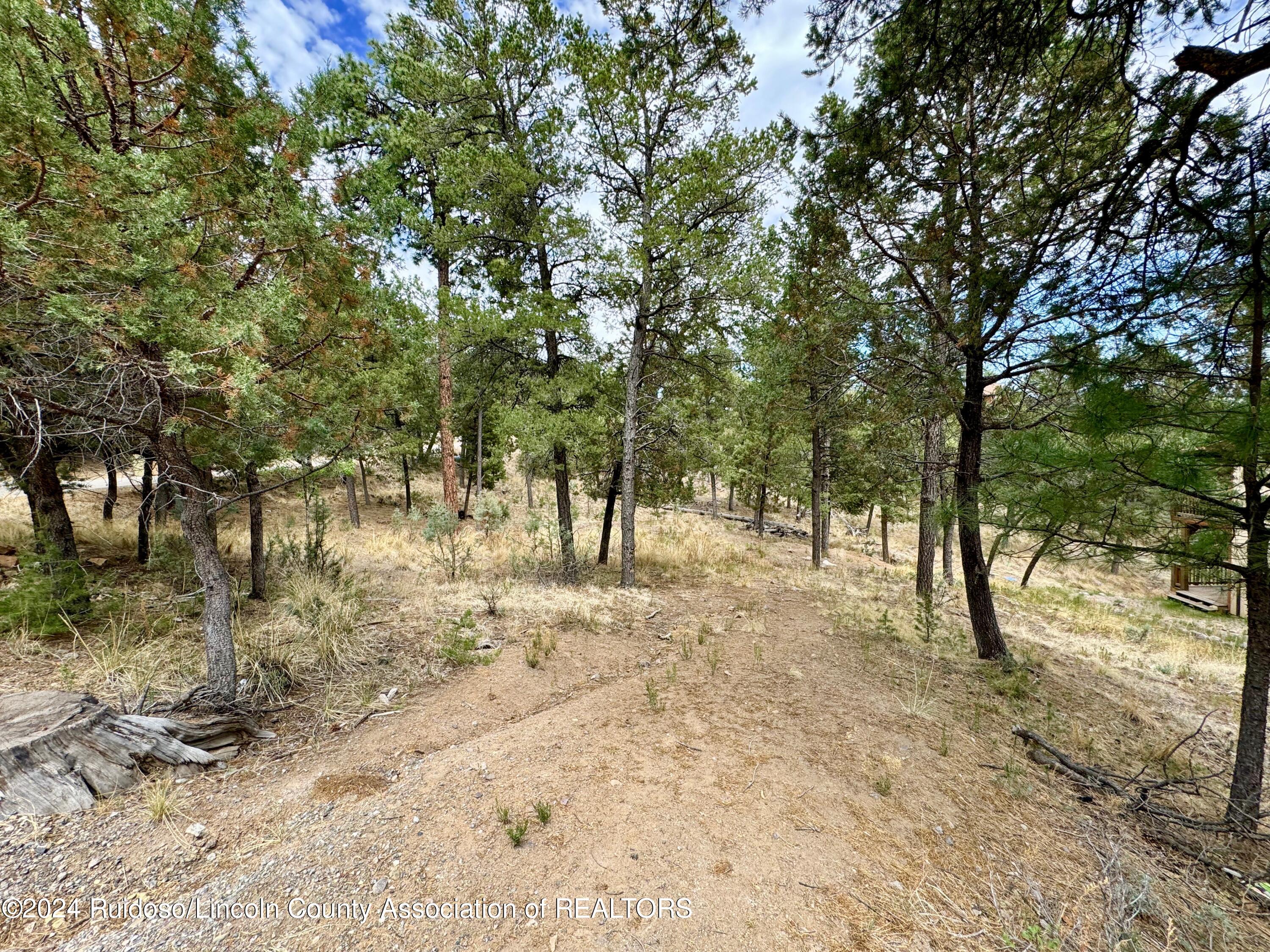 101 Gila Road, Ruidoso, New Mexico image 7