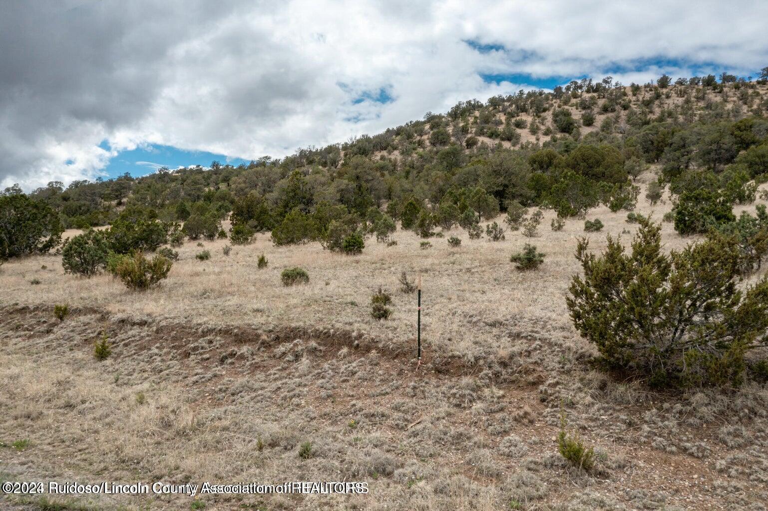 296 Vista Rio Bonito Drive, Alto, New Mexico image 5