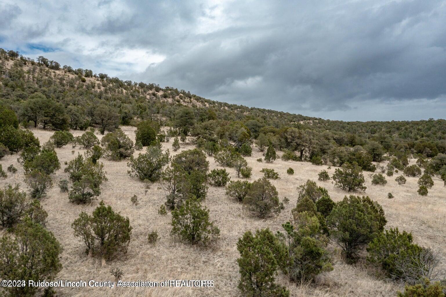 296 Vista Rio Bonito Drive, Alto, New Mexico image 4