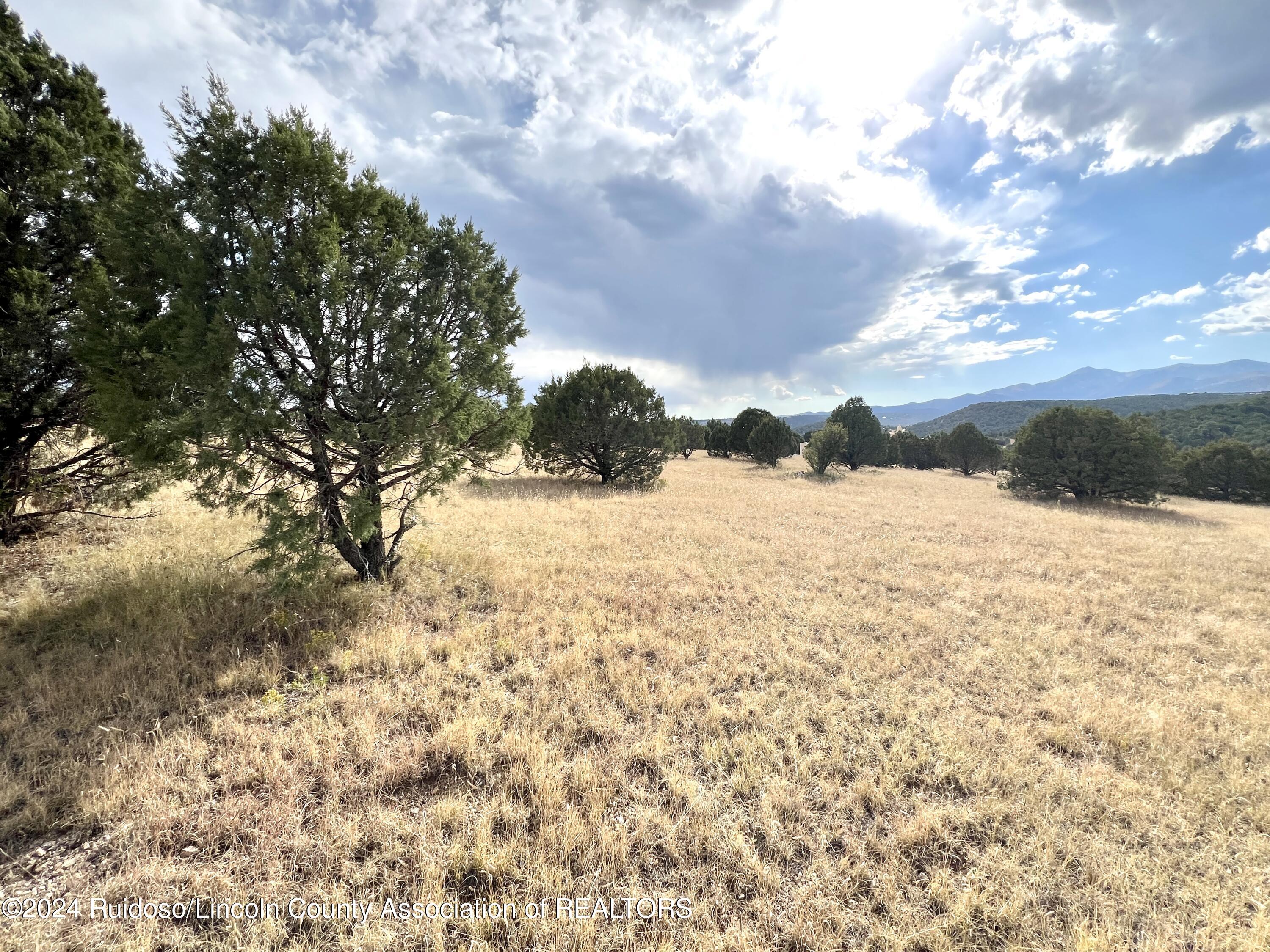 Lot 8 Pojoaque Loop, Alto, New Mexico image 5