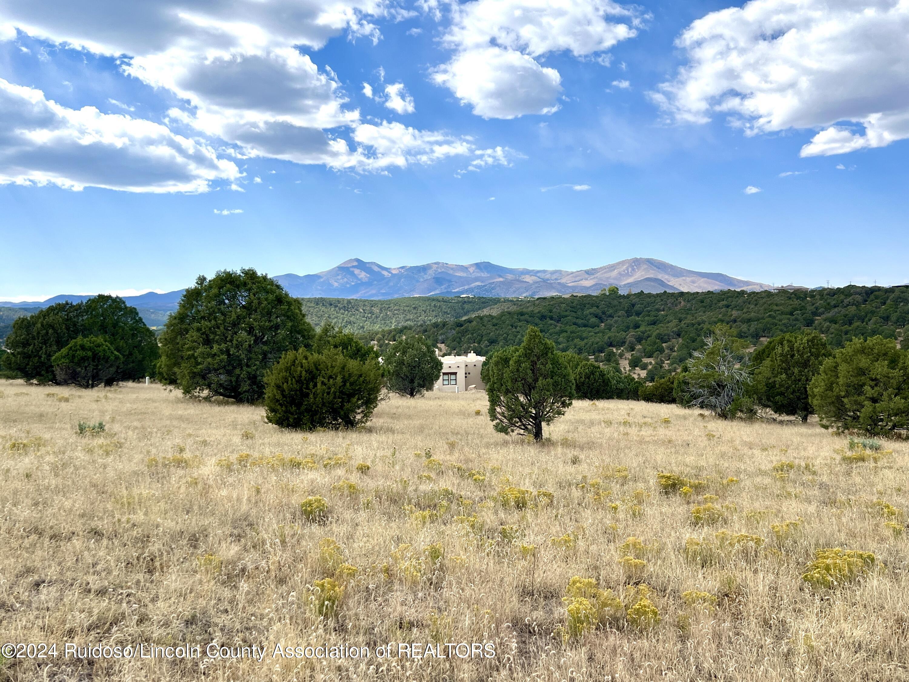 Lot 8 Pojoaque Loop, Alto, New Mexico image 10