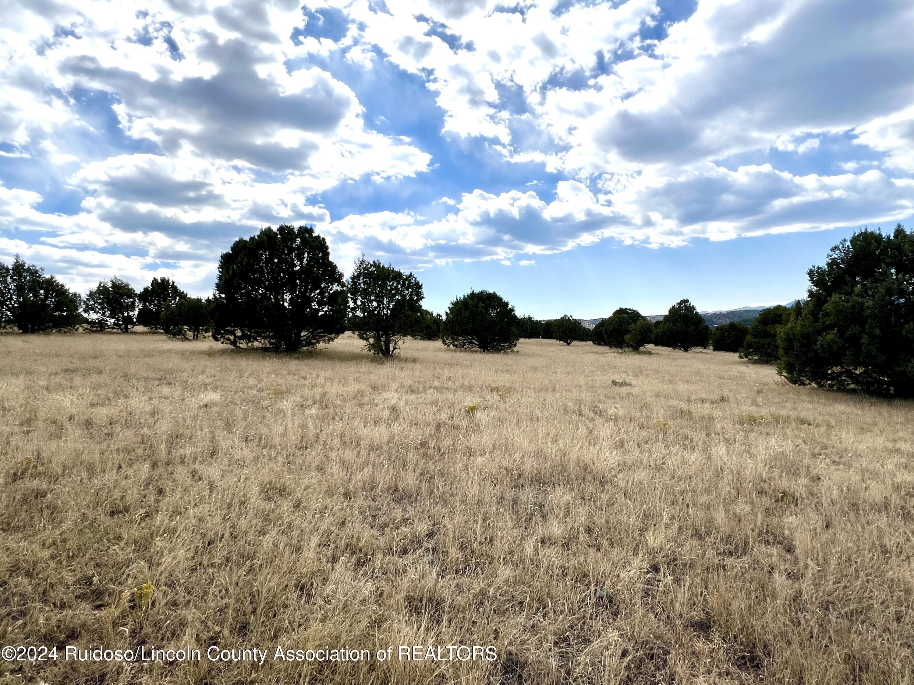 Lot 8 Pojoaque Loop, Alto, New Mexico image 14