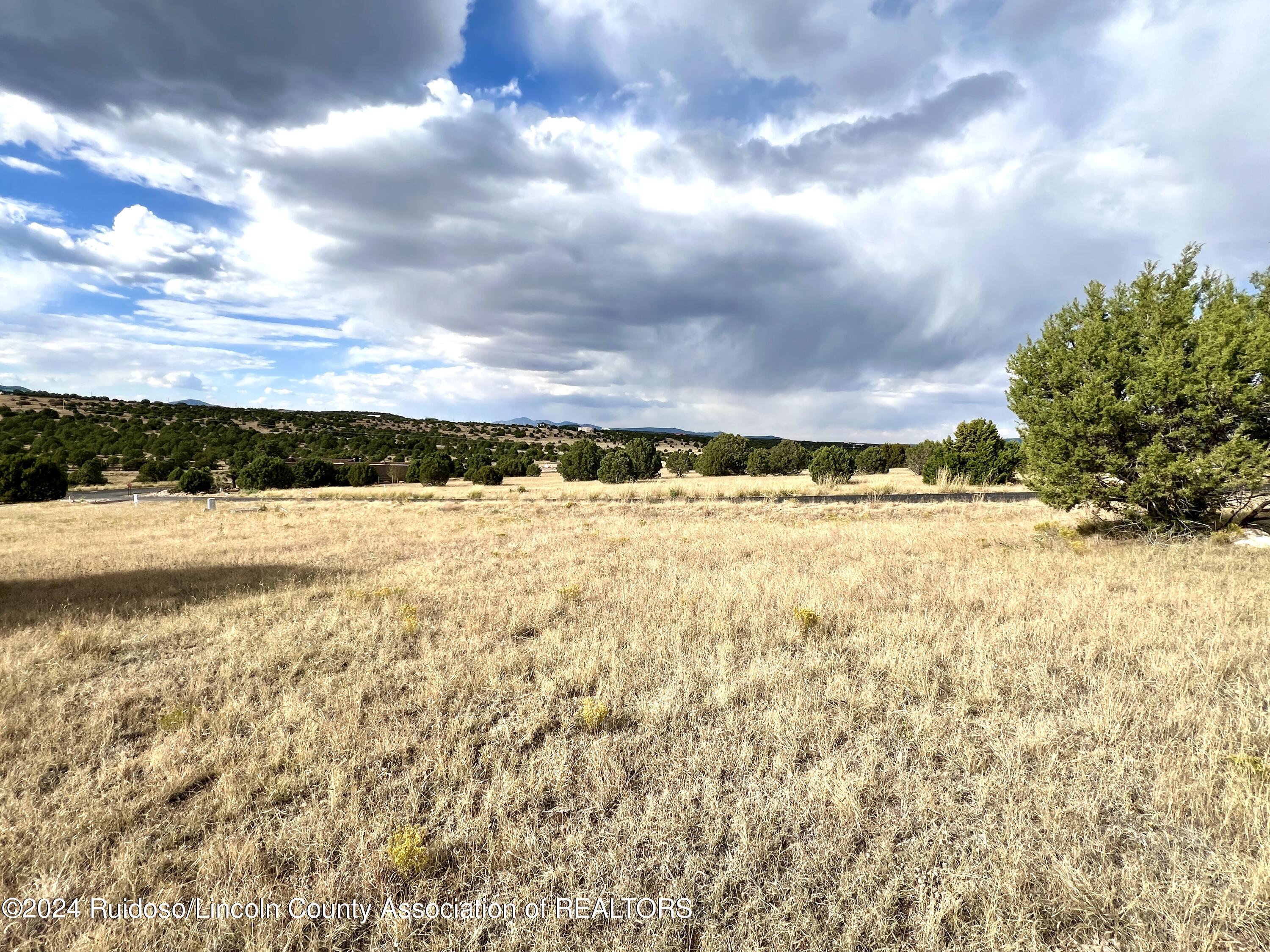 Lot 8 Pojoaque Loop, Alto, New Mexico image 4