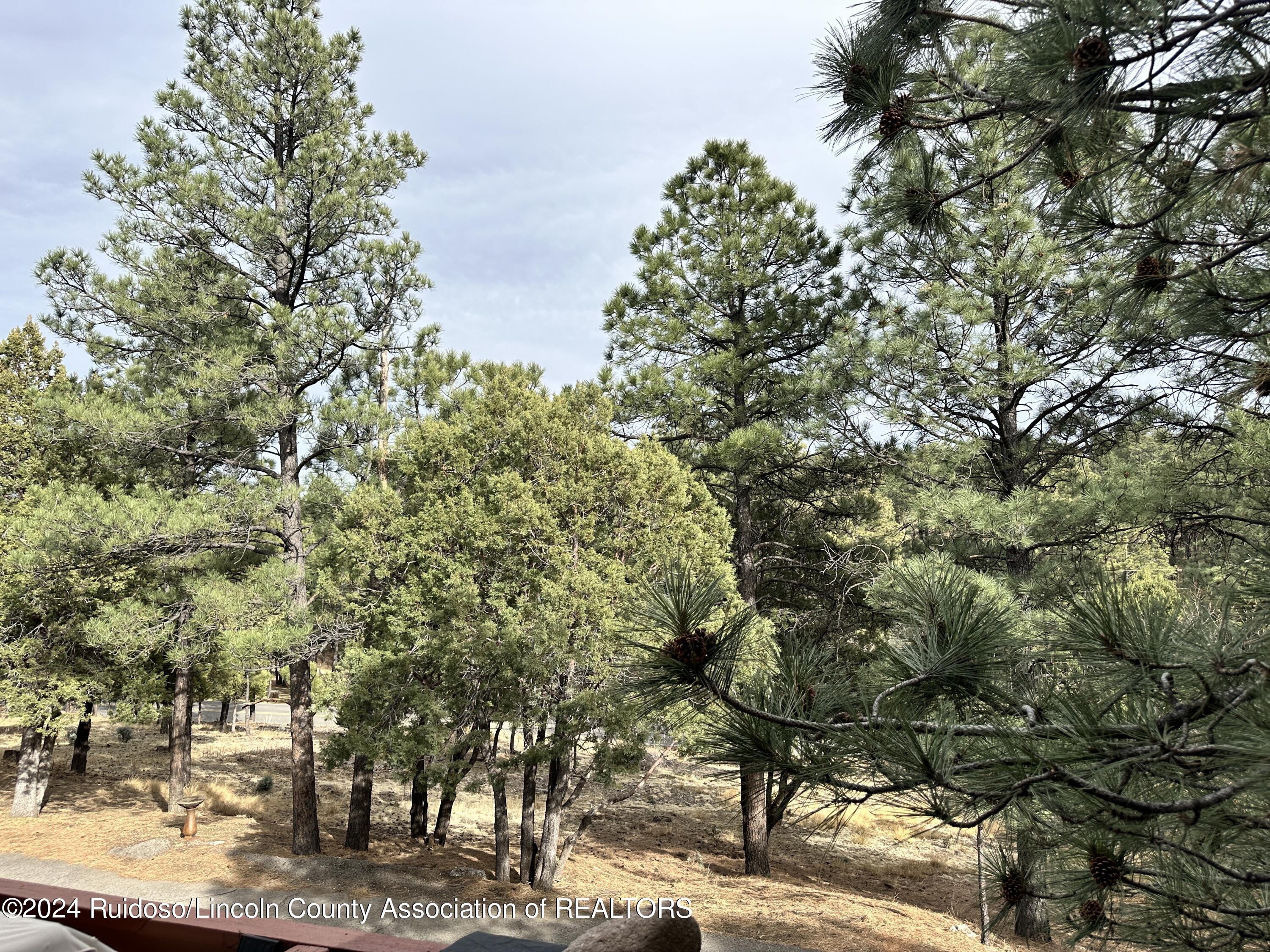 111 Whispering Pines Way #2, Alto, New Mexico image 19