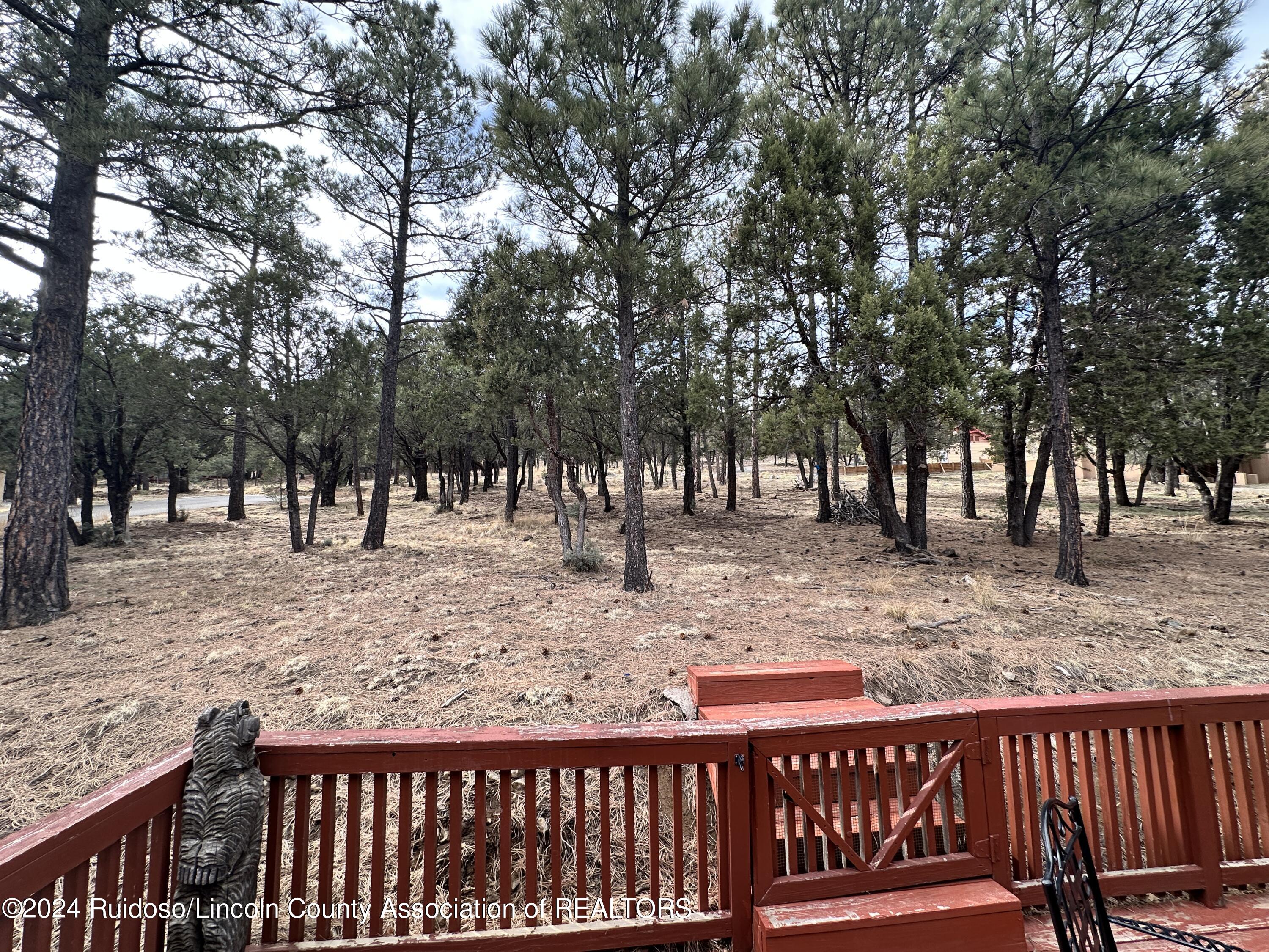 111 Whispering Pines Way #2, Alto, New Mexico image 16