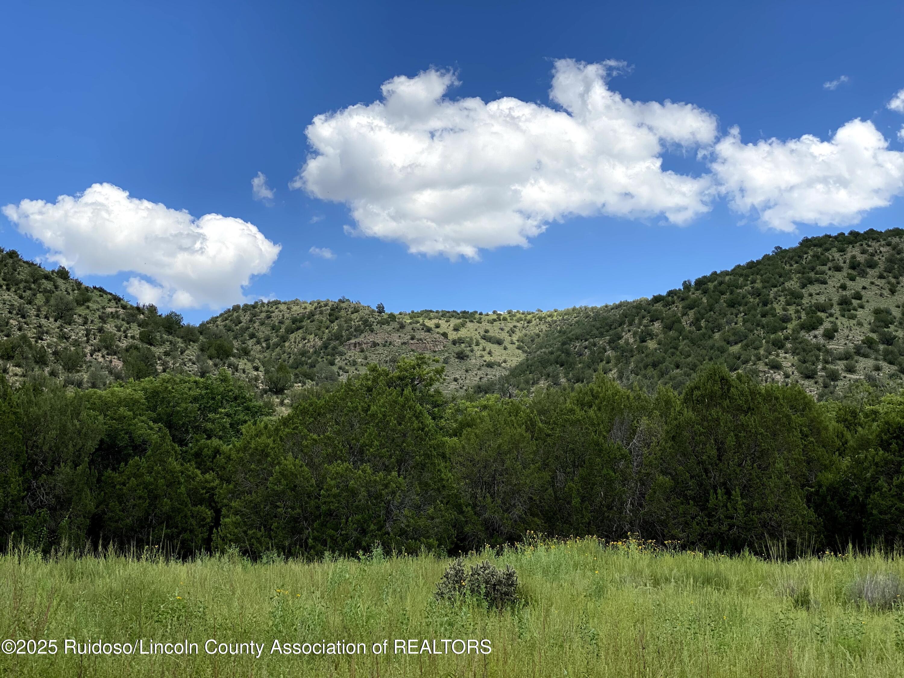 10276 Highway 380, Lincoln, New Mexico image 8