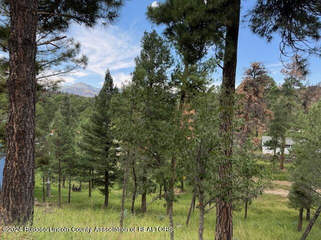 105 John Christman Drive, Ruidoso, New Mexico image 3