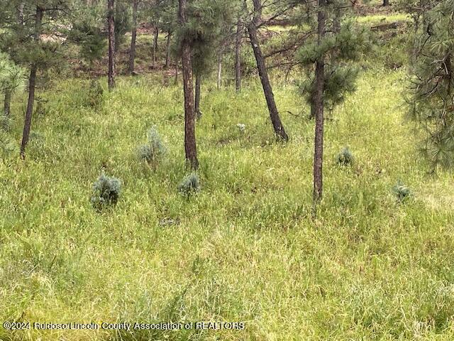 105 John Christman Drive, Ruidoso, New Mexico image 4