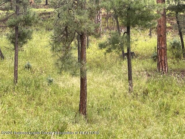 105 John Christman Drive, Ruidoso, New Mexico image 6