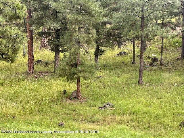 105 John Christman Drive, Ruidoso, New Mexico image 5