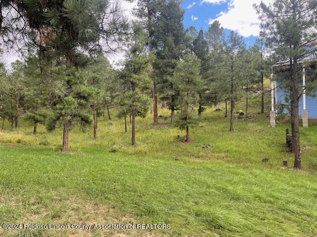 105 John Christman Drive, Ruidoso, New Mexico image 7