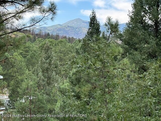 105 John Christman Drive, Ruidoso, New Mexico image 2